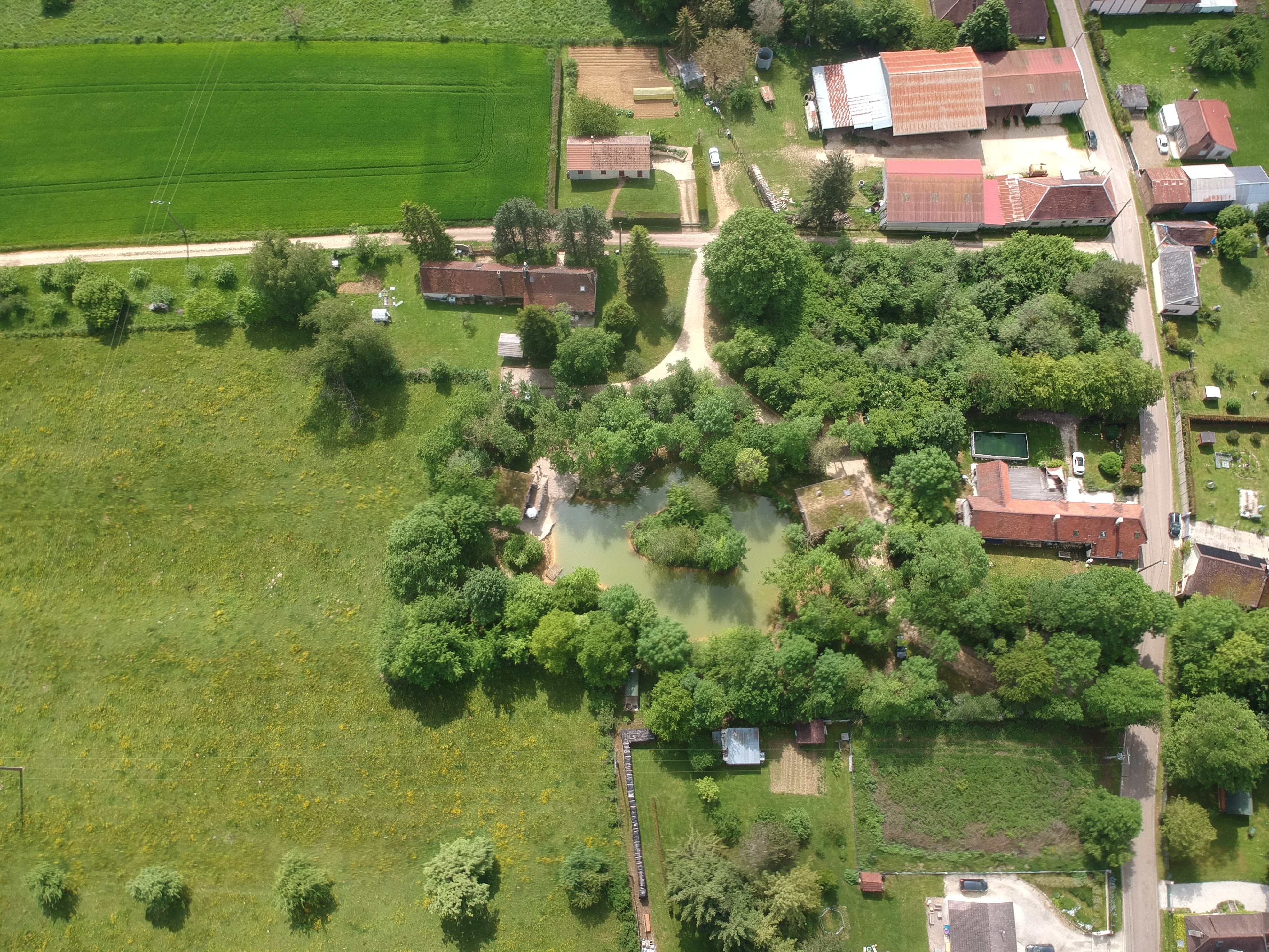 Évasion au Nordic & Spa : Cabane sur pilotis en Champagne-Ardenne à Chennegy — environnement naturel