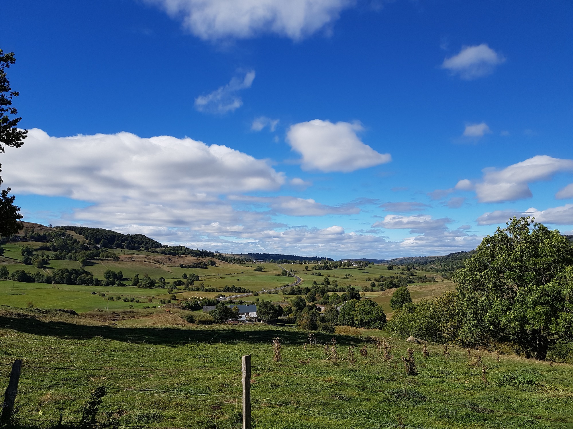 La Gazelle & Spa : une cabane sur pilotis au cœur de l'Auvergne à Ségur-Les-Villas — vue depuis la terrasse