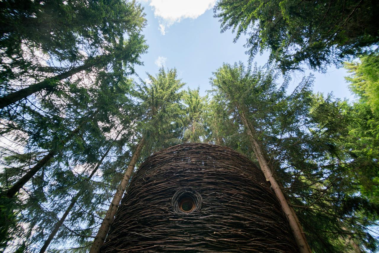 La Cabane Scandinave & SPA : une évasion en pleine nature à Saint Nicolas La Chapelle — environnement naturel