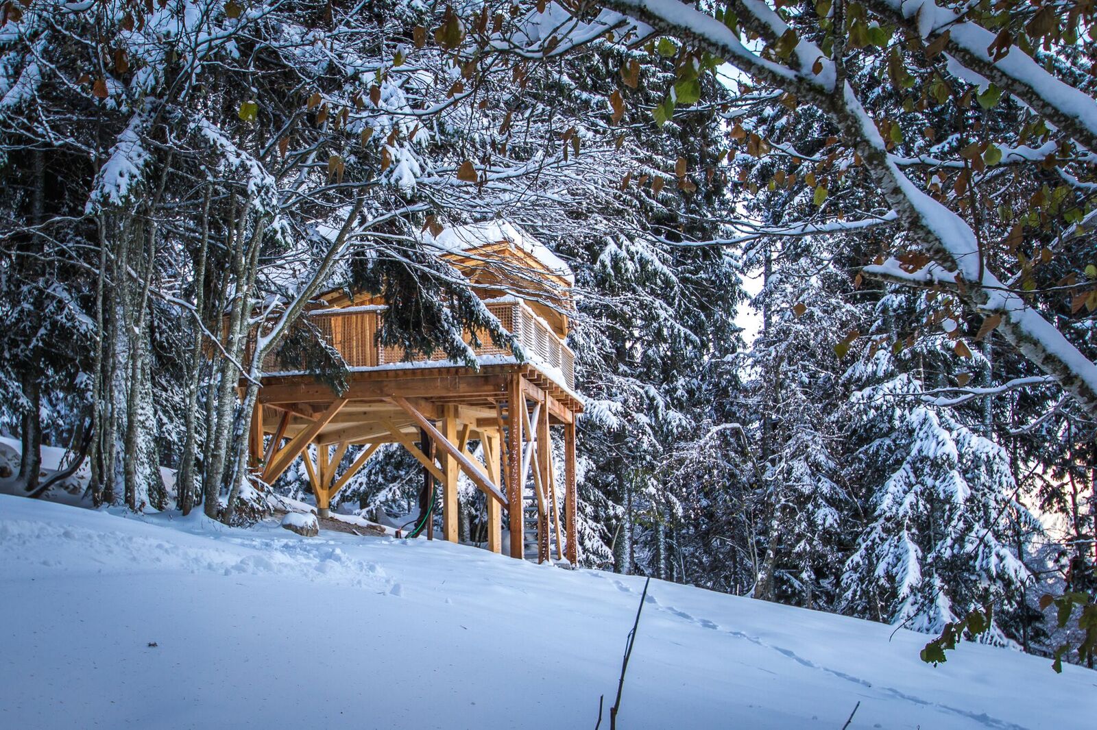 Nuit Le Bivouac : une expérience insolite en pleine nature à Saint Pierre De Chartreuse — environnement naturel