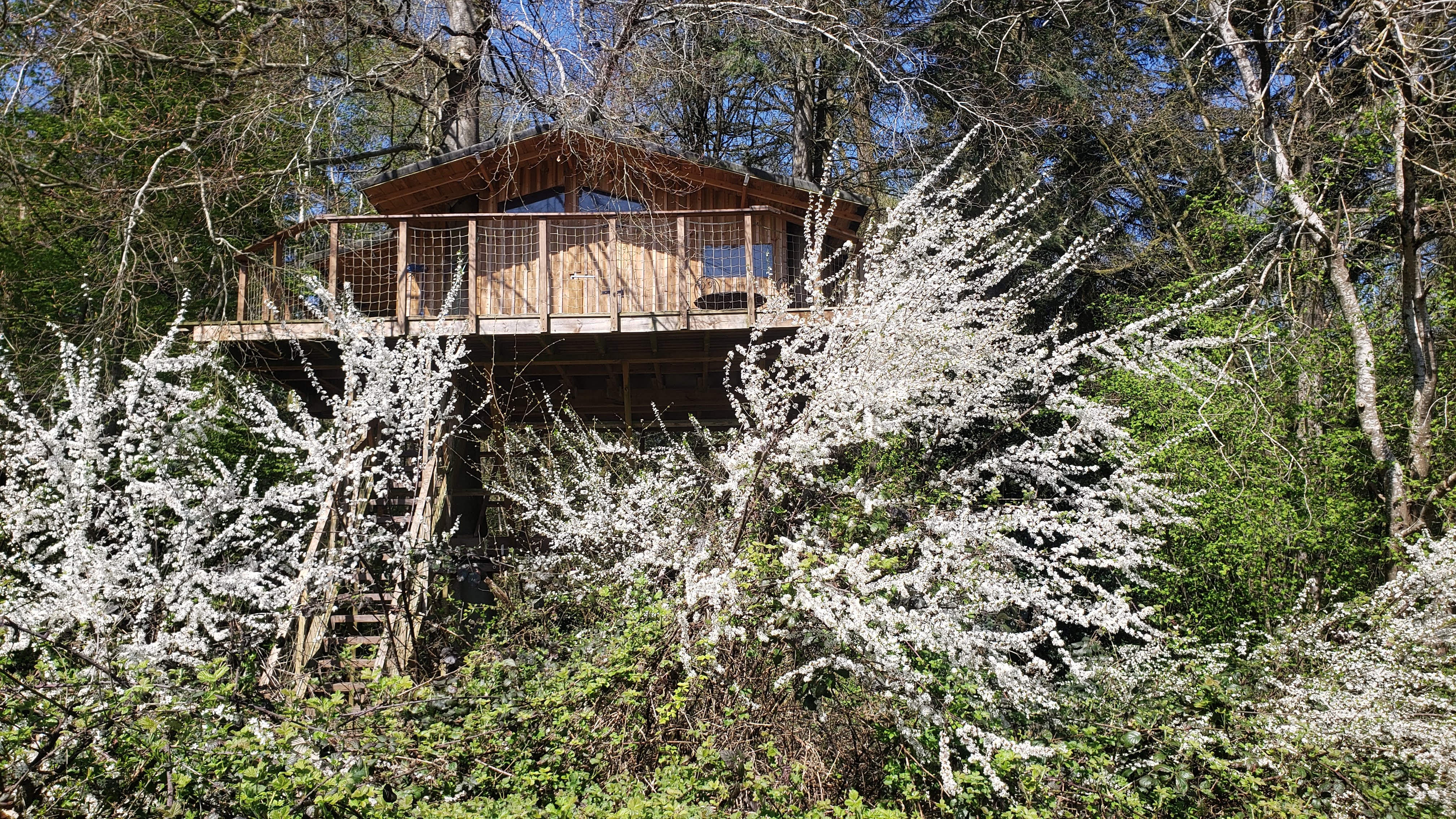 Cabane du domaine du Valdorgère — Nuit perchée à 5m en Eure à Graveron-Sémerville — vue intérieure
