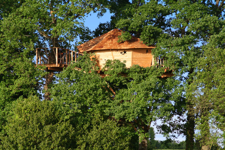 Cabane des Lucioles — Nuit perchée avec spa à Ille-et-Vilaine à Betton — vue intérieure