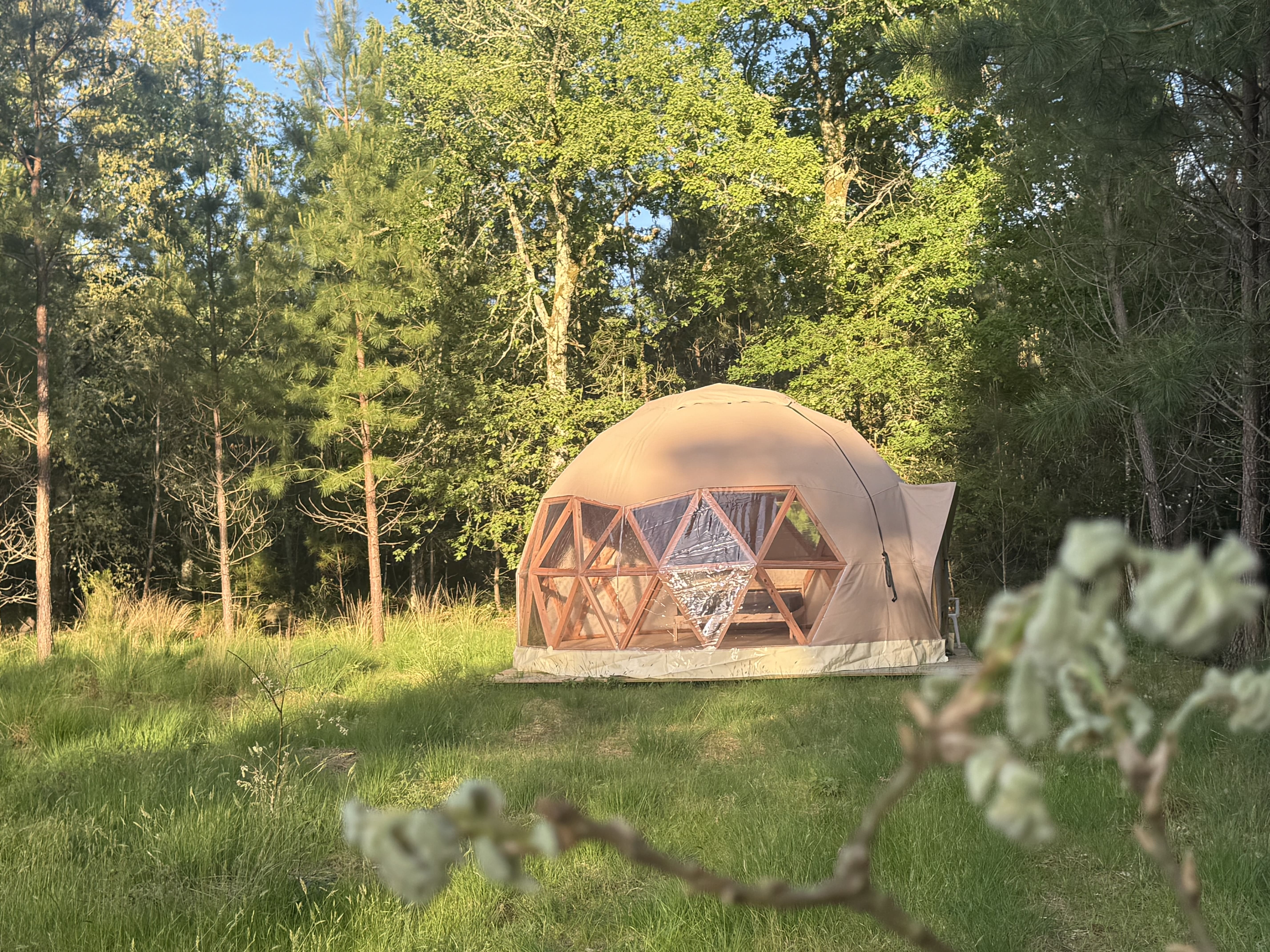 Dôme d'Amagui — Dôme géodésique au cœur de la forêt Landaise à Mérignac — chambre