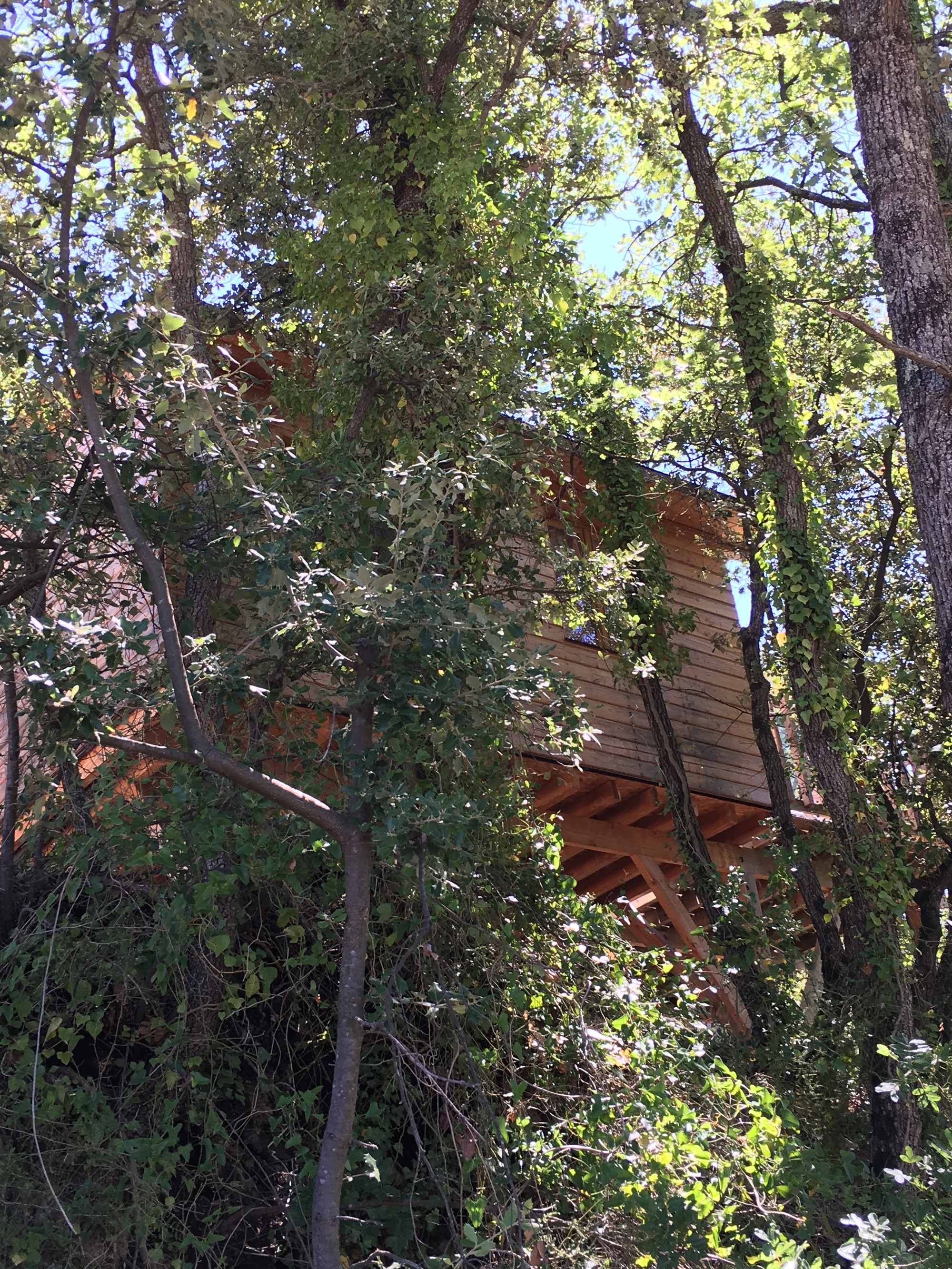 La Cabane des Amoureux : une échappée romantique sur pilotis à Barjols — vue depuis la terrasse