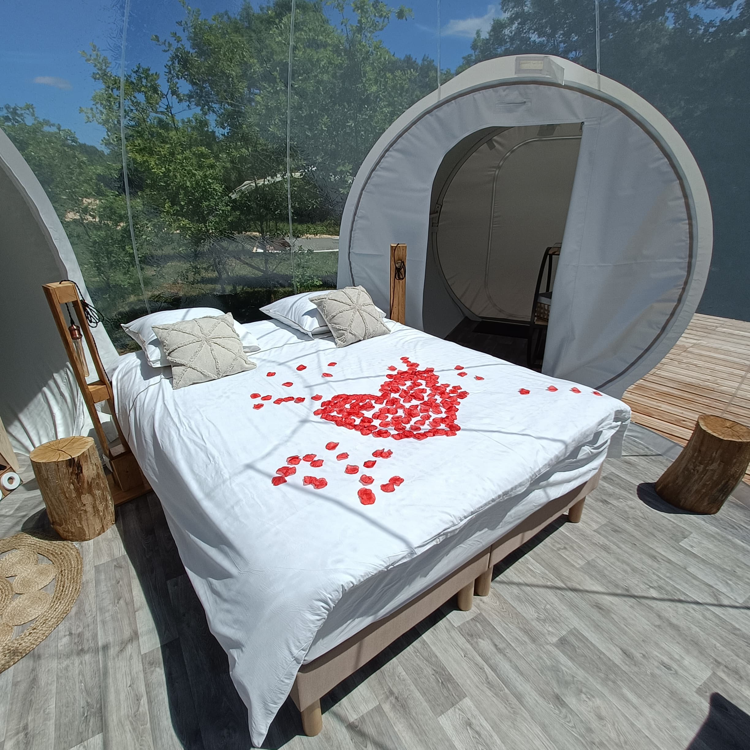 L'Ode à l'évasion — Bulle transparente avec spa à Vienne à Vienne — vue depuis la terrasse