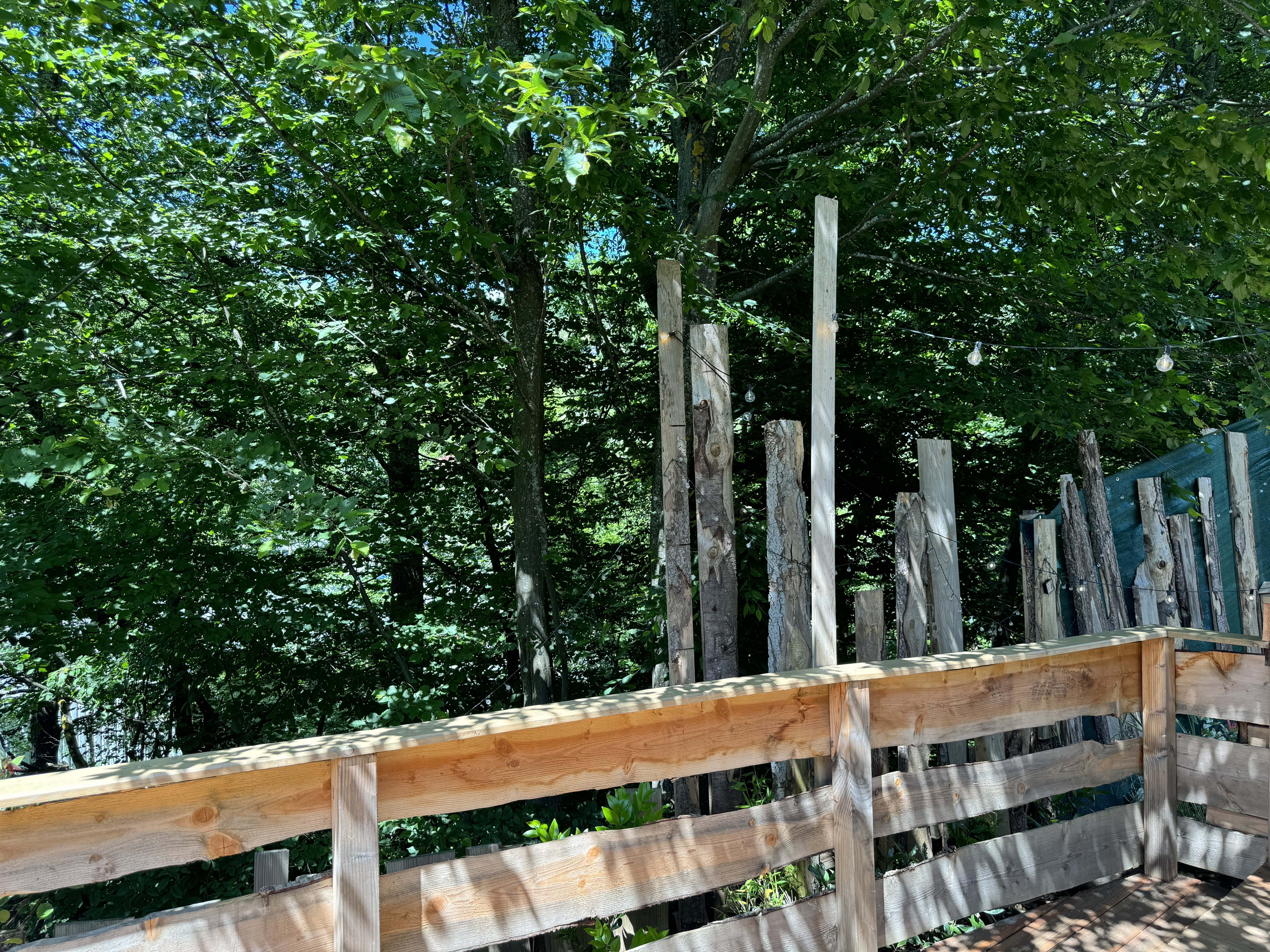La Maison Pégase - Une cabane en Alsace avec bain nordique à Orbey — environnement naturel