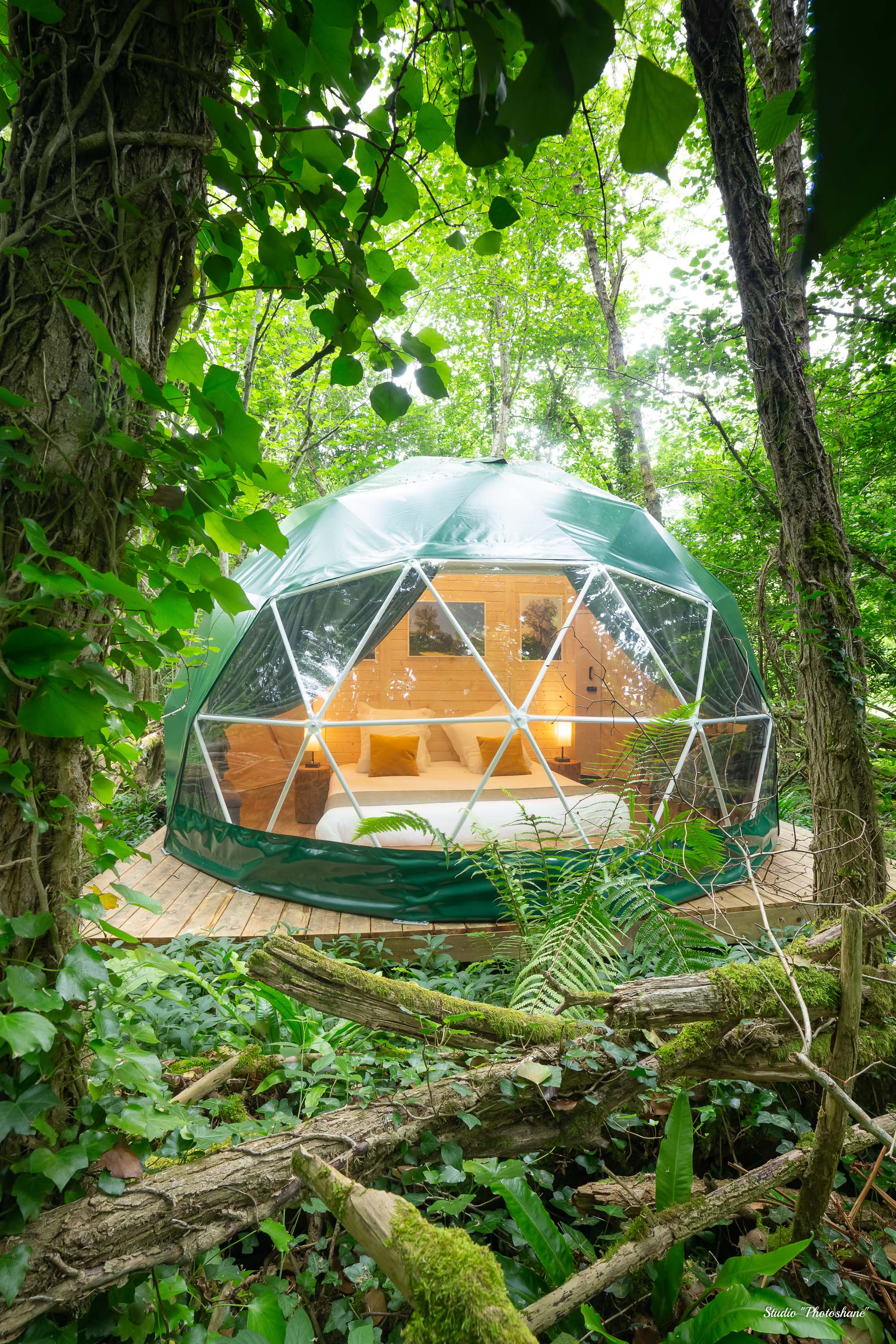 Géode Chêne Emeraude — Dôme avec spa à 180° sur la forêt en Gironde à La Teste-de-Buch — vue intérieure