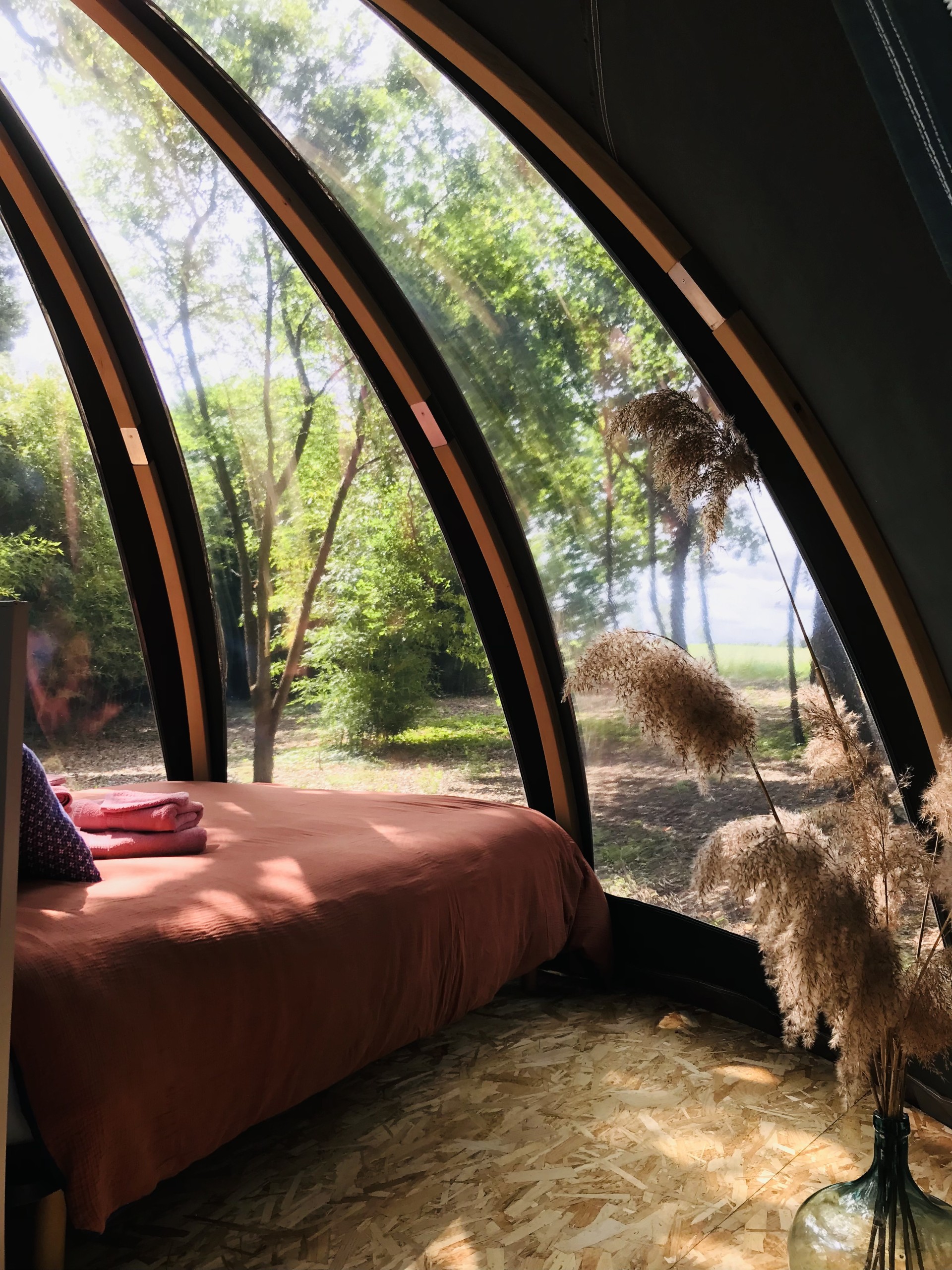 Ô Cocon du Lauragais - Dôme et Spa