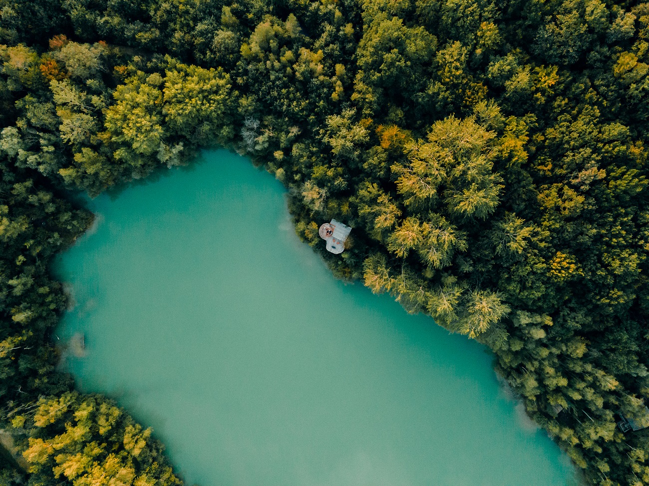 Cabane Spa Beau Rivage : une expérience unique en Picardie à St-Léger-Aux-Bois — environnement naturel
