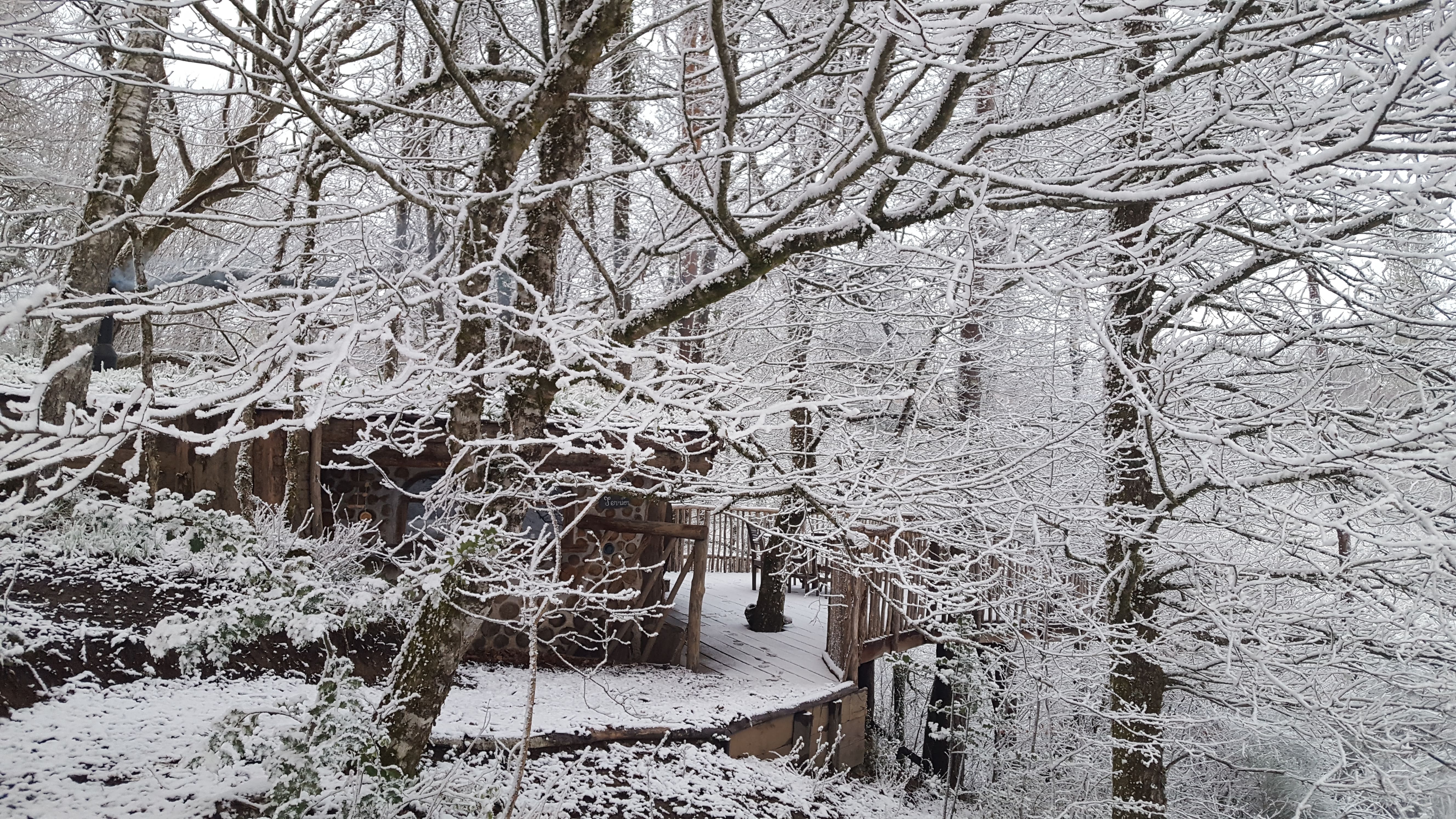 La cabane du Terrier — Maison de hobbit à 6m de hauteur en Corrèze à Brive-la-Gaillarde — vue intérieure