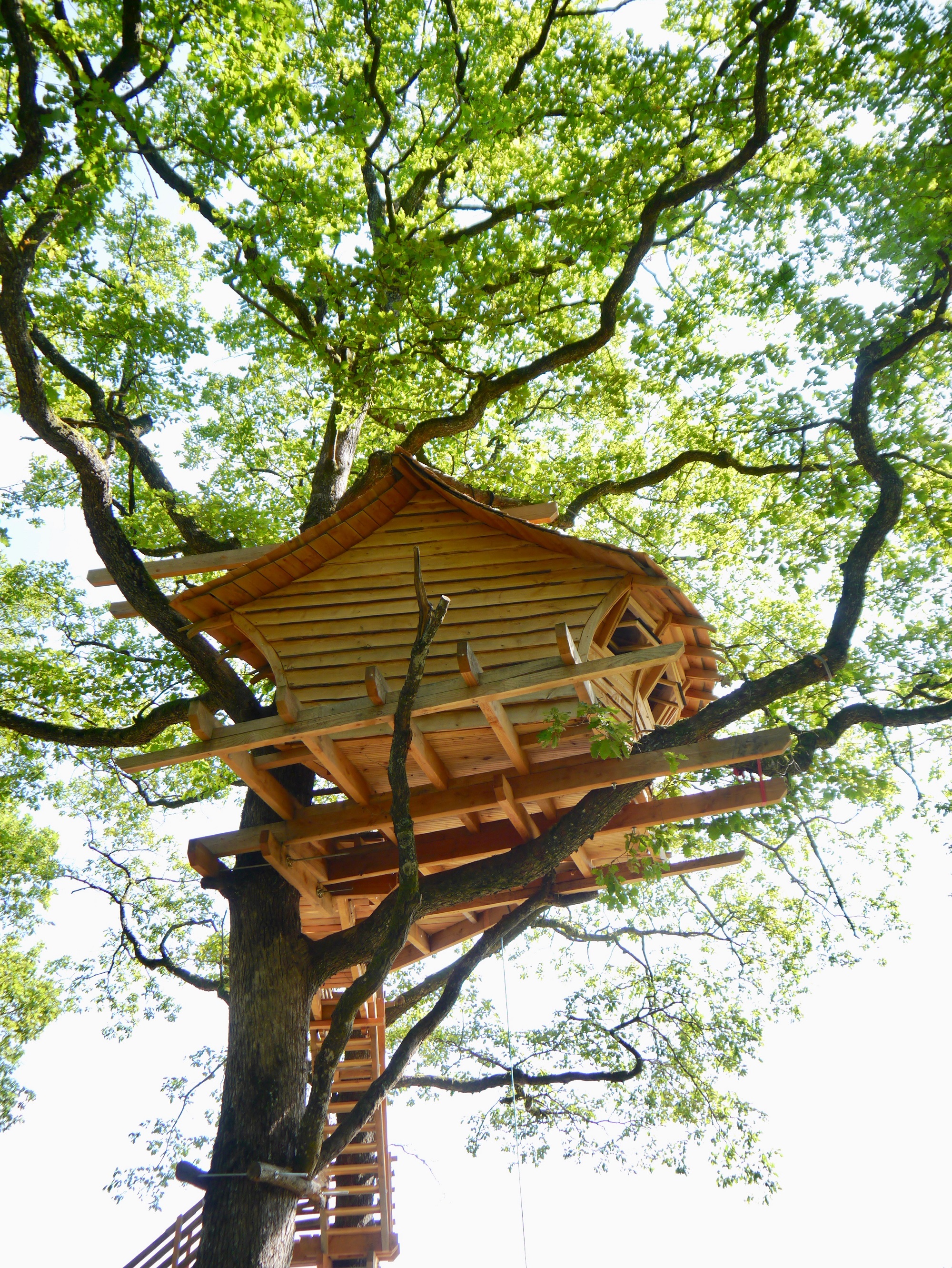 Uthando : une cabane dans les arbres au cœur de la Lorraine à Vittel — espace de vie