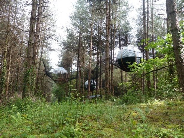 Hiboux 1 — Cabane dans les arbres à 6m de hauteur dans les Pyrénées-Atlantiques à Pau — vue intérieure