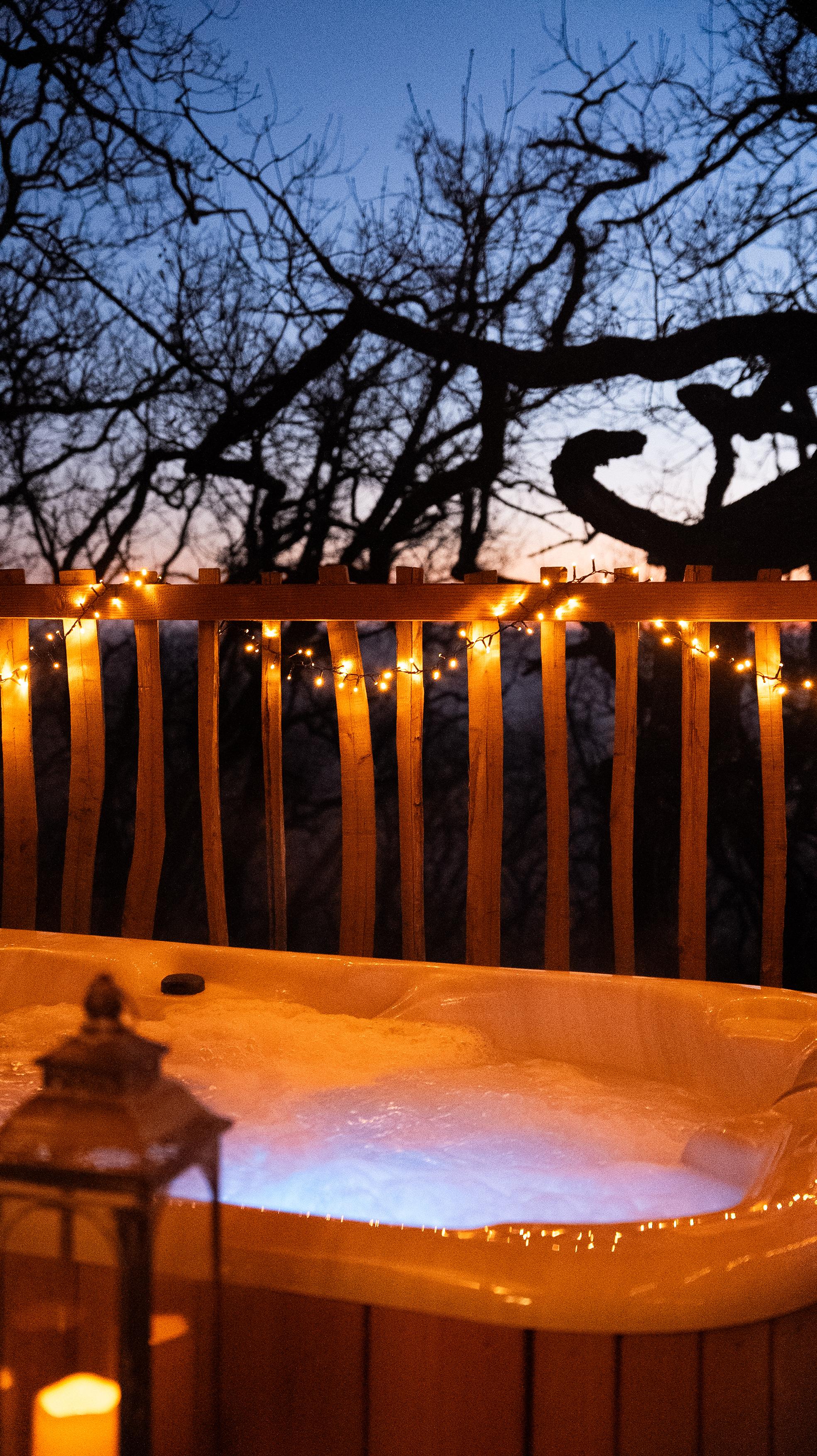 Cabane Spa Vintage Prestige — Nuit perchée avec jacuzzi à Lot-et-Garonne à Agen — espace de vie