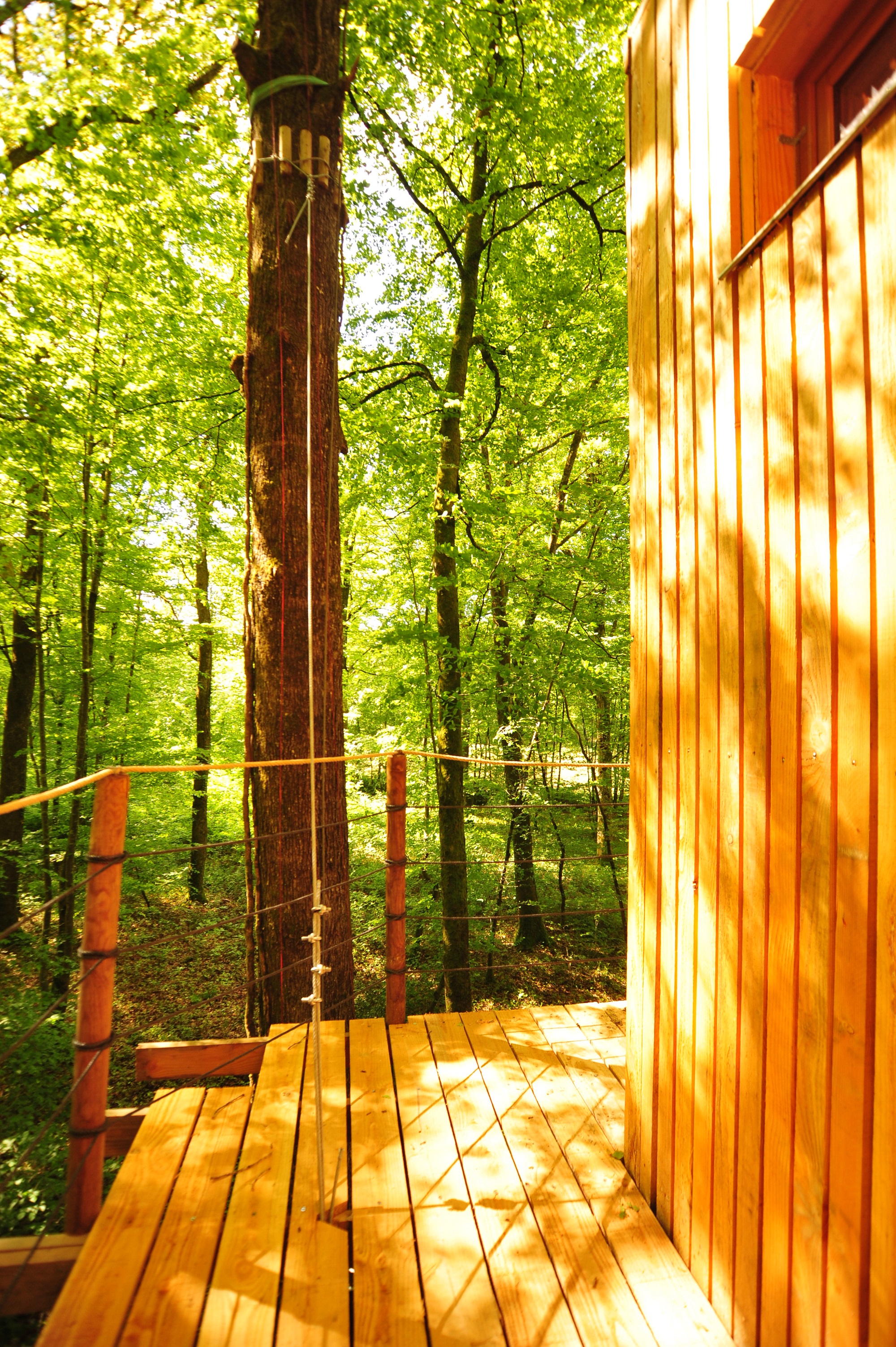 La Cabane du Héron : une expérience immersive dans les arbres à Mont Sous Vaudrey — espace de vie
