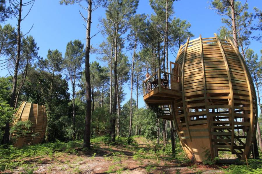 Cabane perchée en Aquitaine : une expérience insolite à Captieux — espace de vie