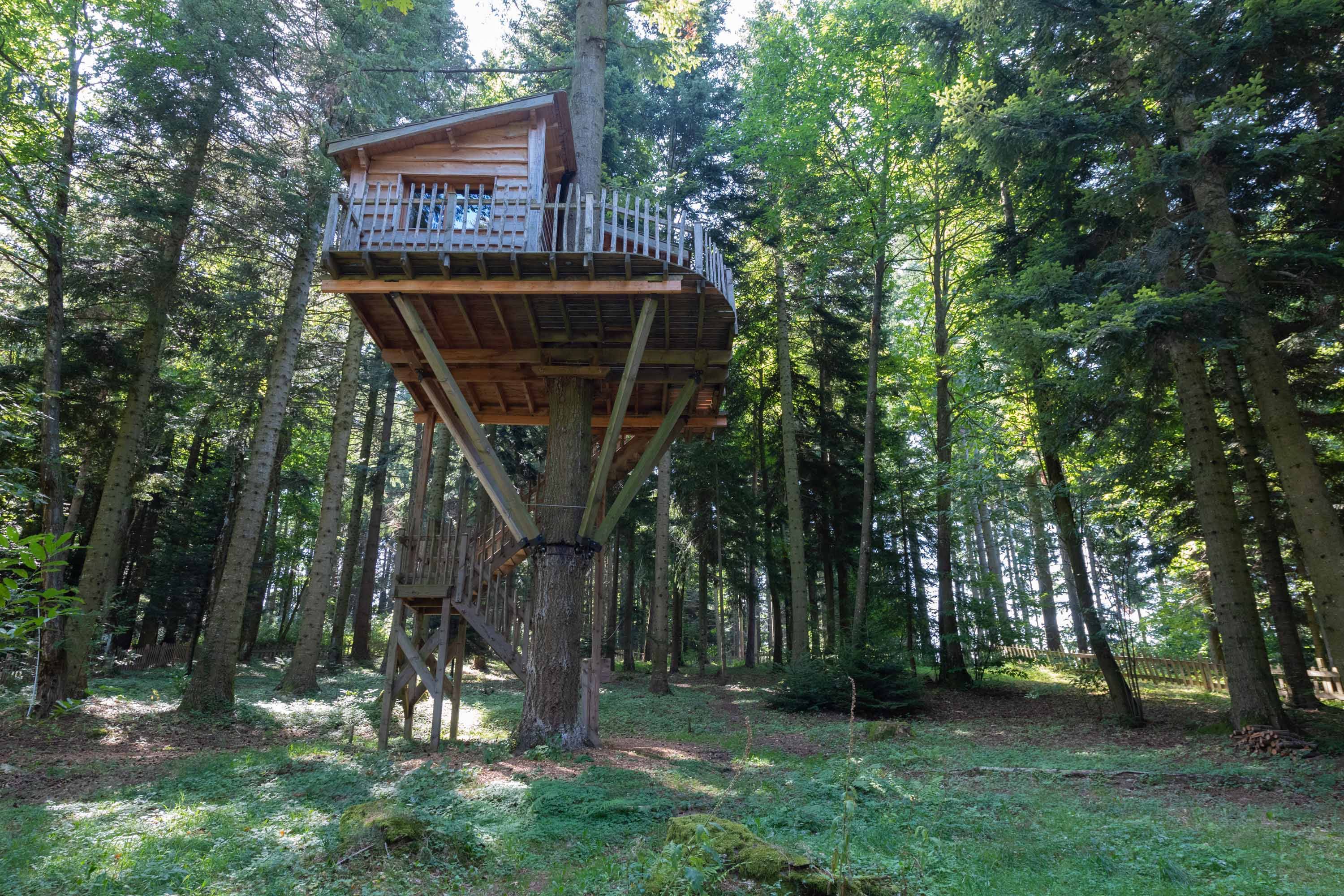 Cabane Marmotte : une expérience suspendue dans les arbres à Saint-Julien-Labrousse — vue intérieure