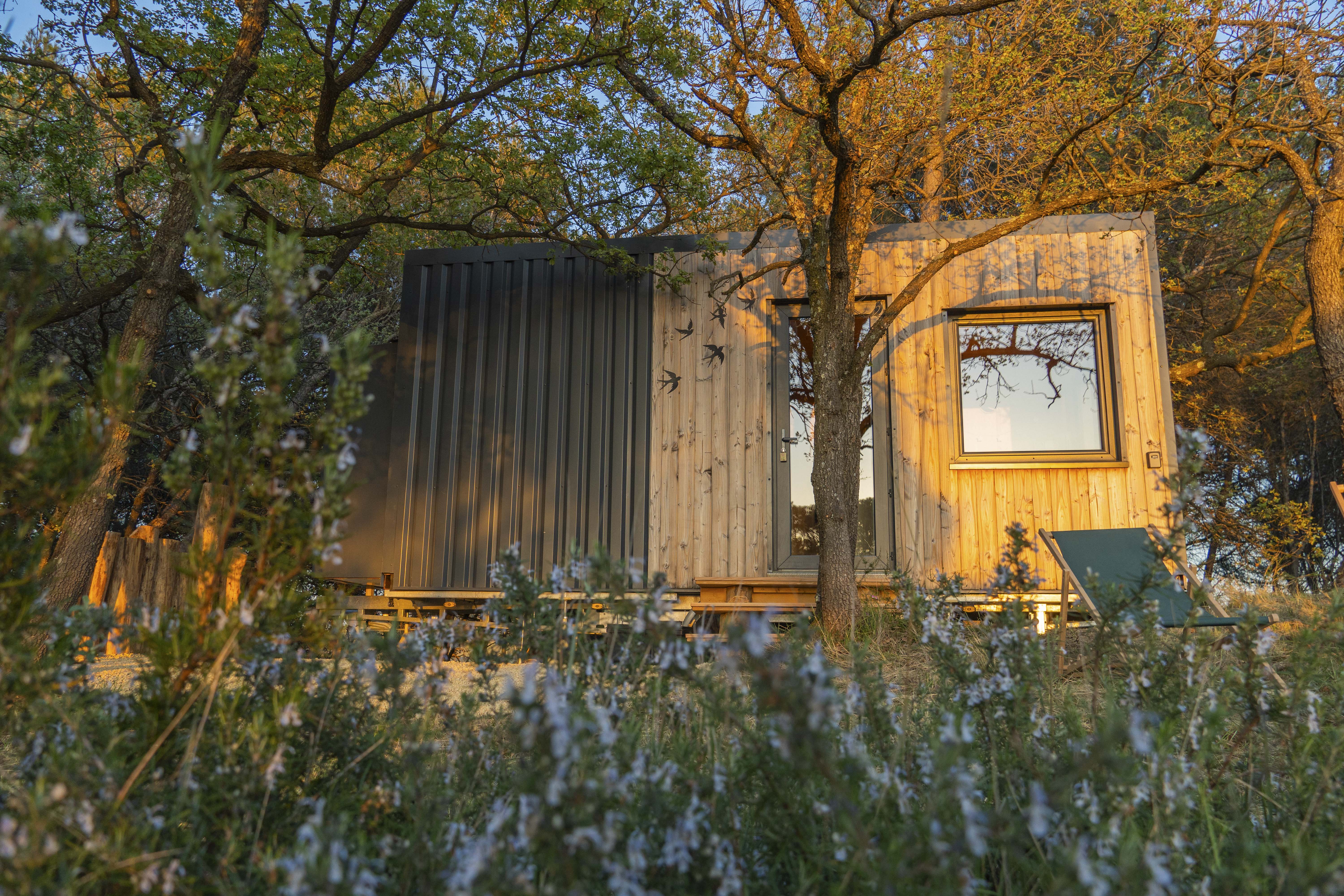 La Forêt Enchantée : une tiny house au cœur du Vaucluse à Mondragon — vue intérieure