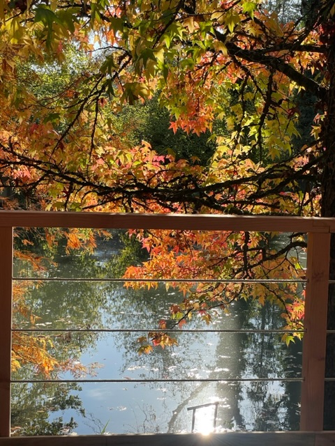 Un chalet en châtaignier au bord de l’eau à Sauvigny Les Bois — espace de vie