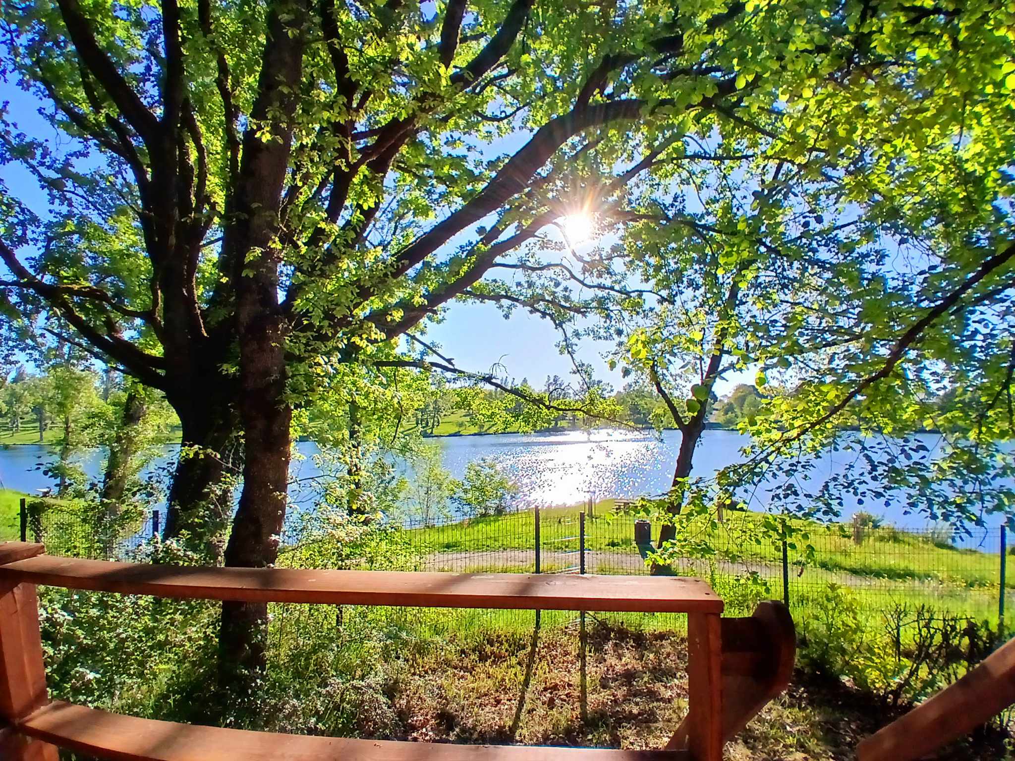 Pilotis du lac avec SPA privatif — Cabane sur pilotis à Tarn à Rabastens — espace de vie