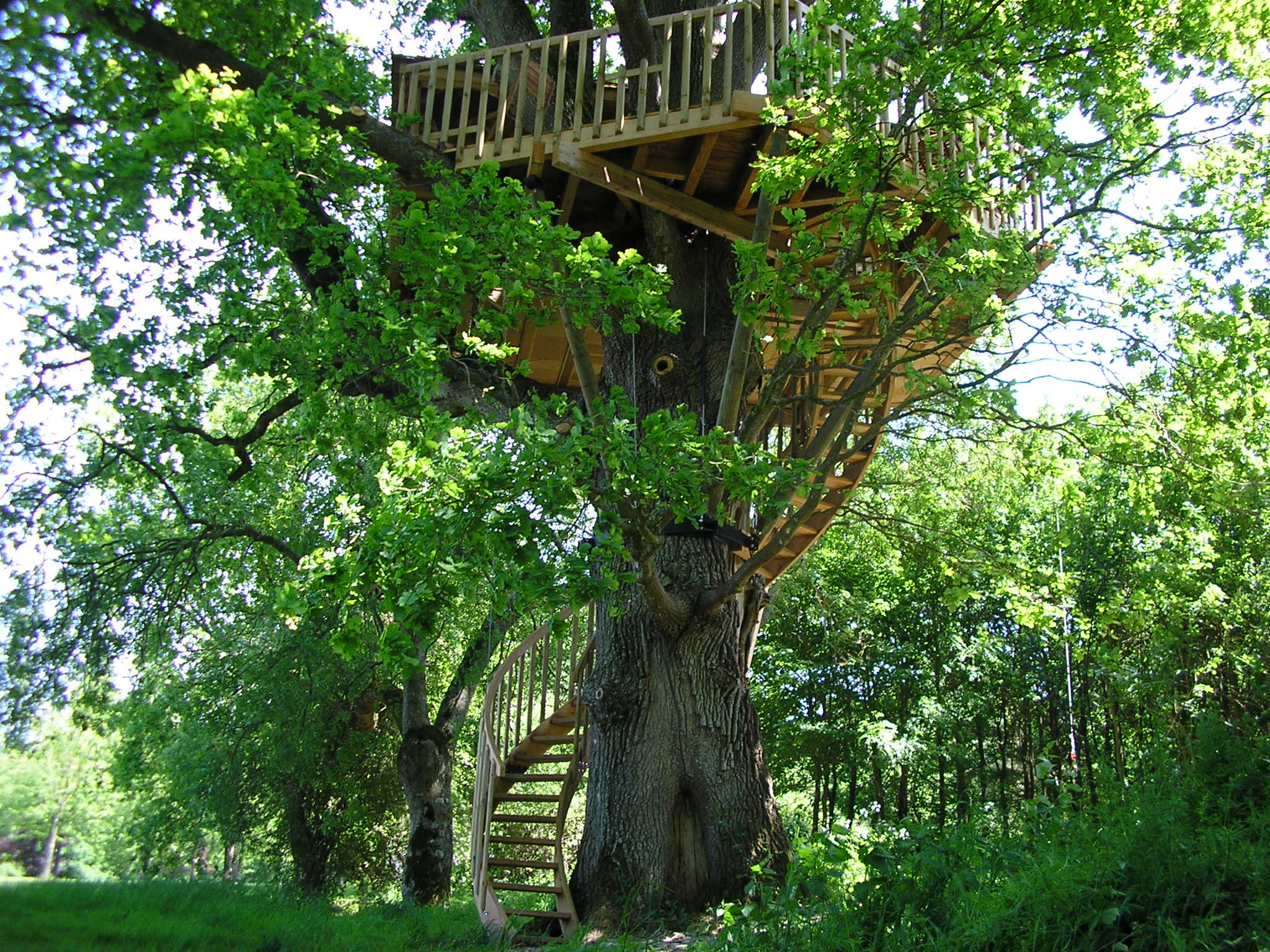 Bruit d'O — Cabane dans les arbres à 8m de hauteur en Maine-et-Loire à Sèvremoine — chambre