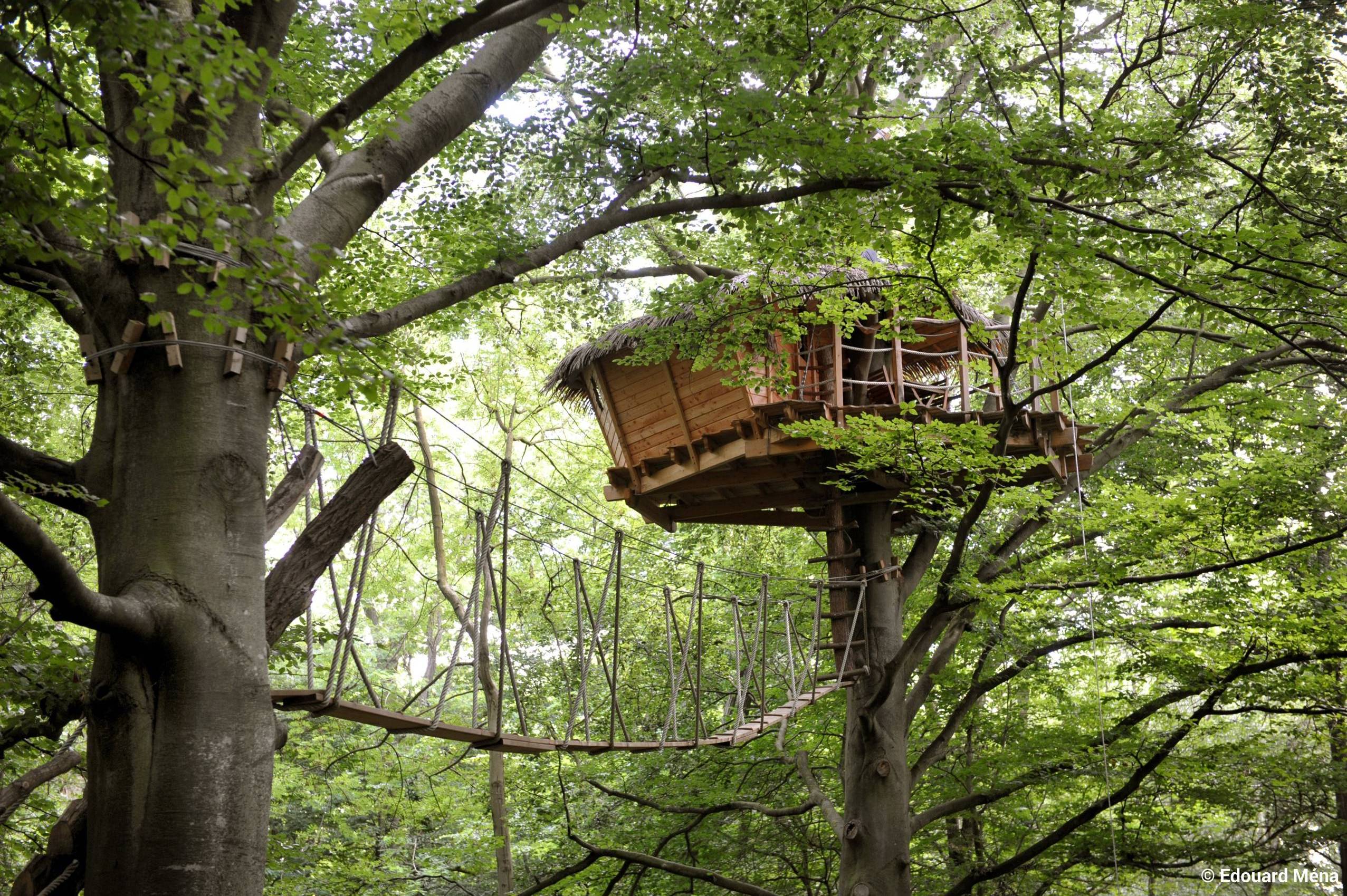 Berceau : une cabane dans les arbres pour une escapade enchantée
