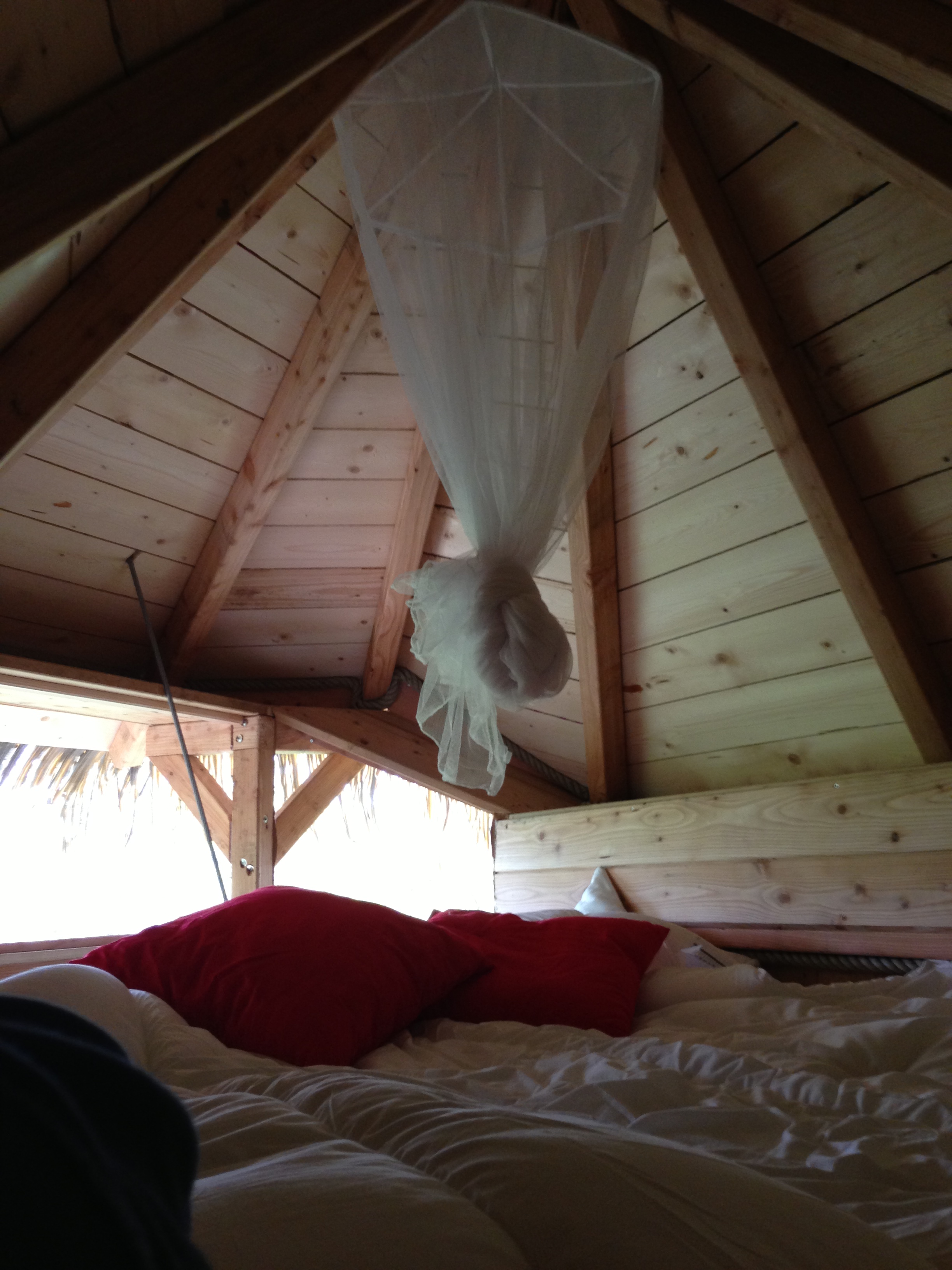 L'aventurière — Cabane dans les arbres avec spa à 7m en Maine-et-Loire à Les Garennes Sur Loire — salle de bain