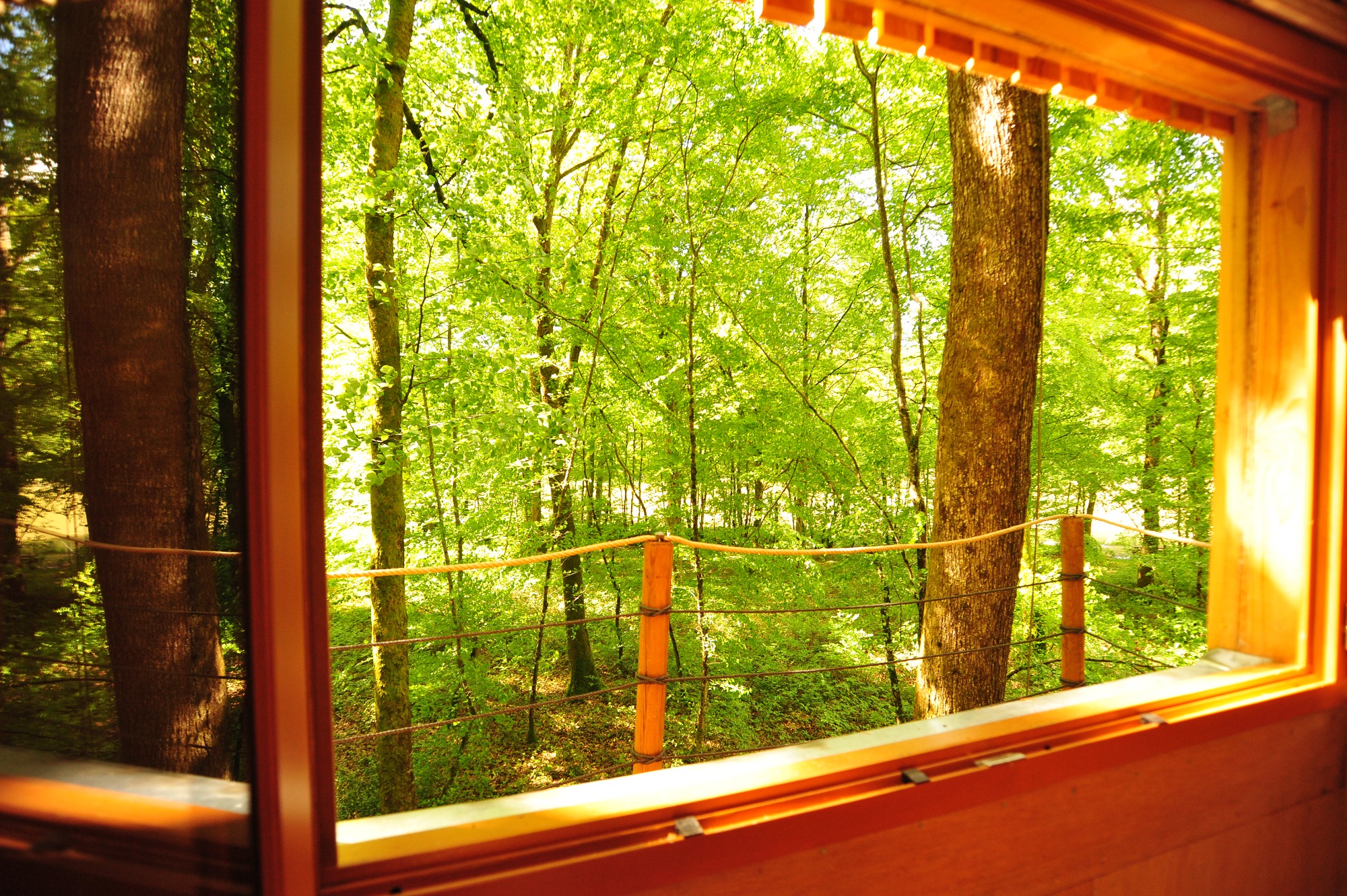 La Cabane du Héron : une expérience immersive dans les arbres à Mont Sous Vaudrey — chambre