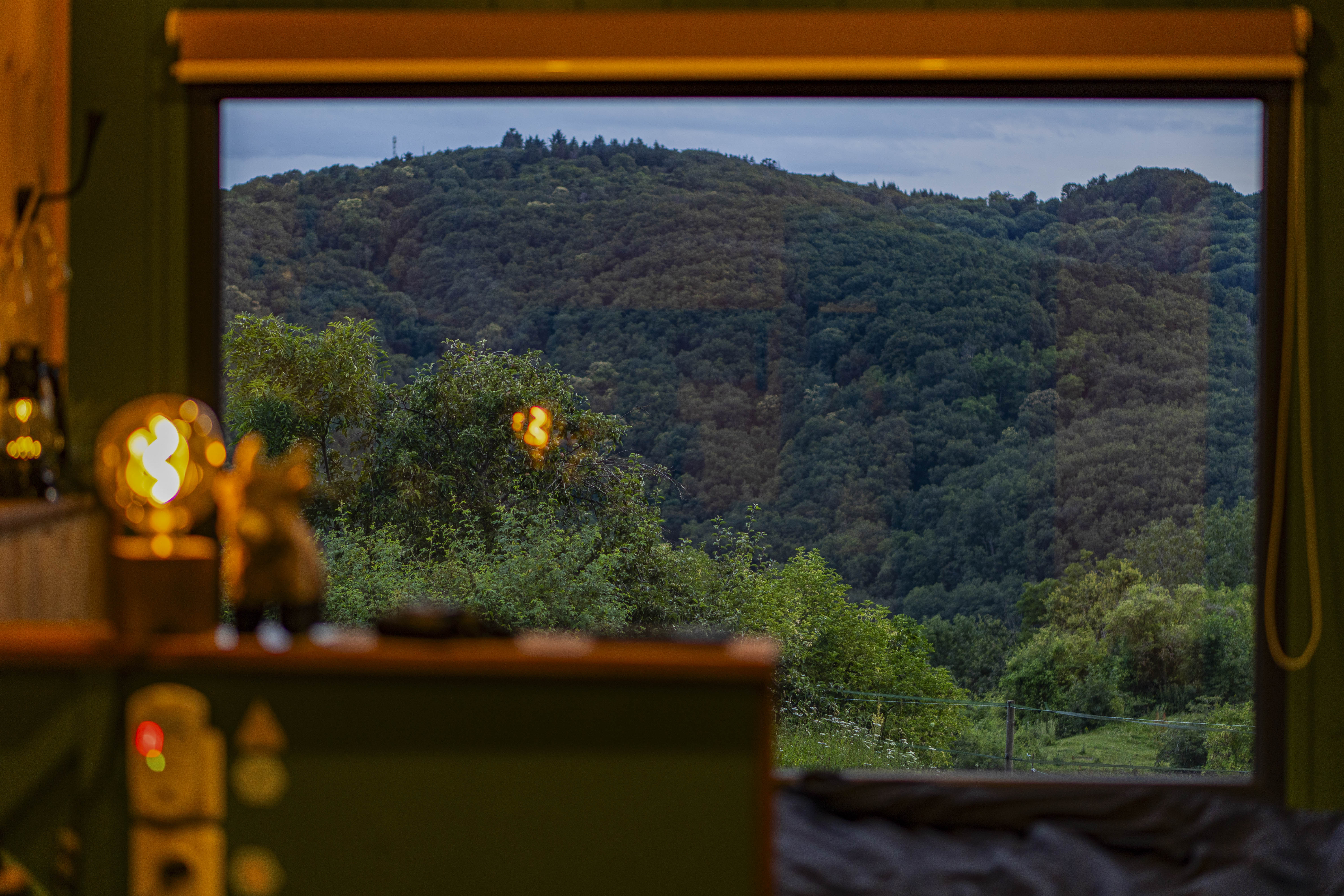 Le Bosquet des Dômes : une tiny house au cœur de l'Auvergne à Châtel-Guyon — cuisine