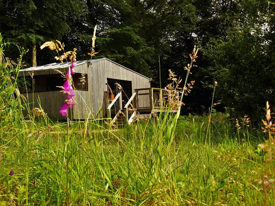 Chalet-Lodge n°1 : une cabane en Basse-Normandie à Saint-Sever-Calvados — vue intérieure