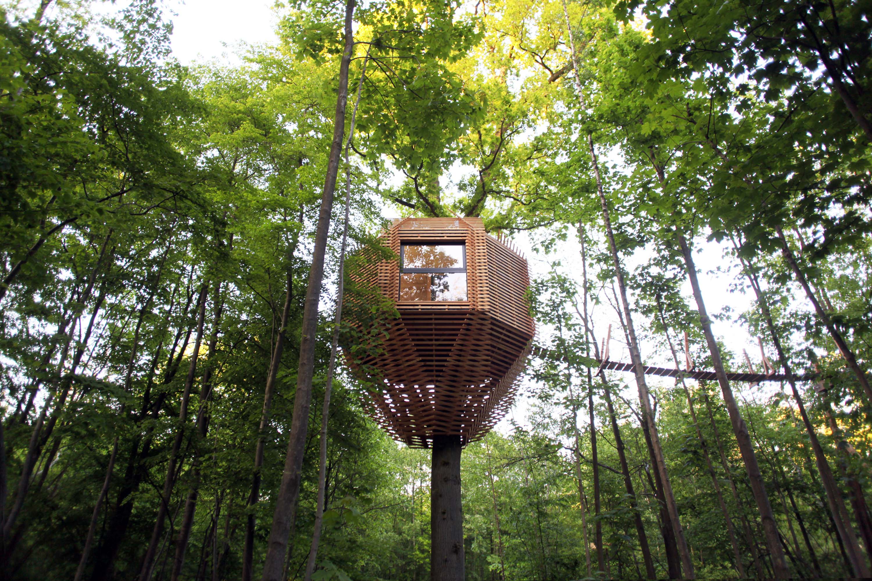 Cabane Spa Designer Origin : une évasion dans les arbres en Picardie à Raray — vue intérieure