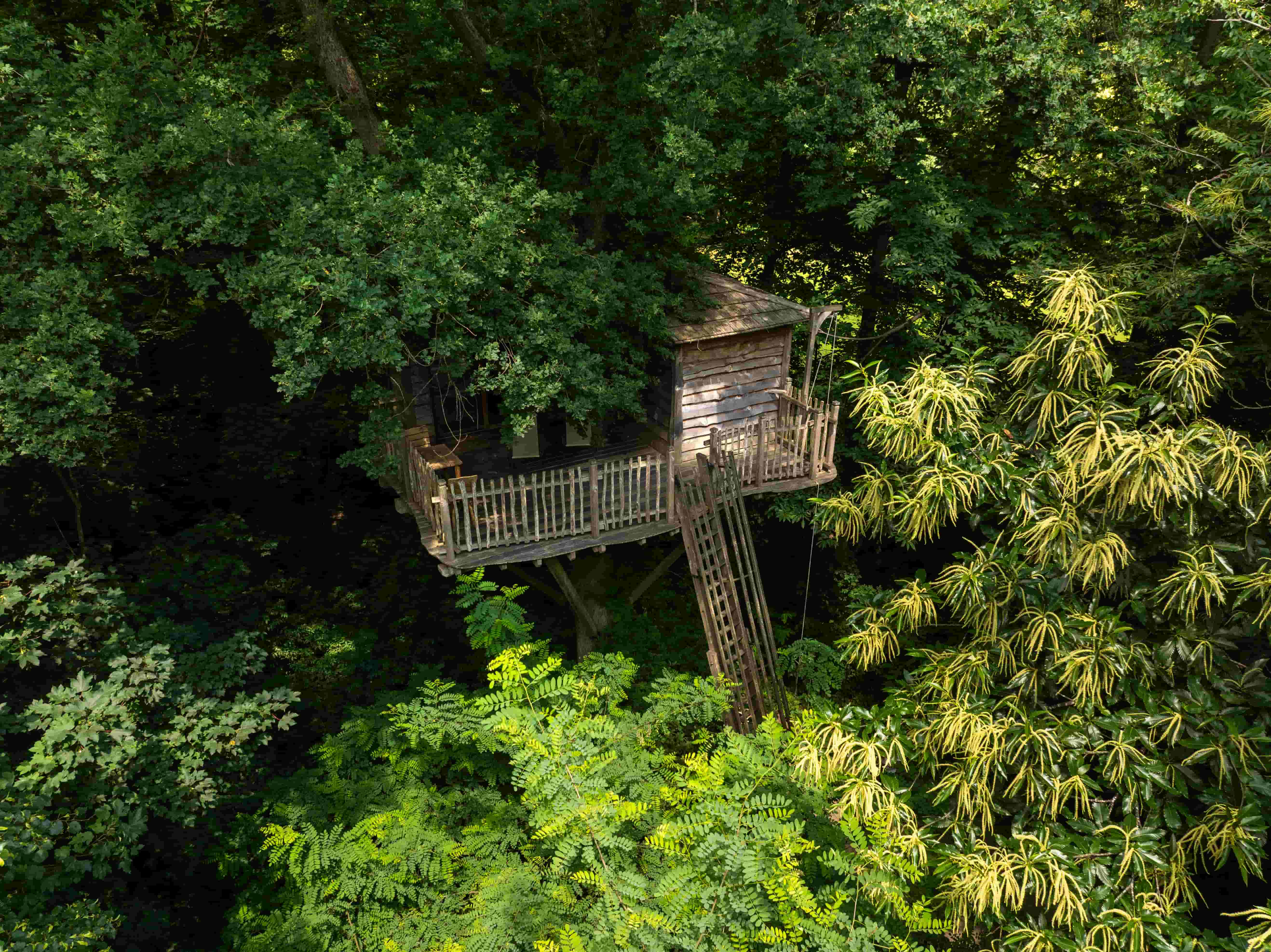 Cabane Secrète : une expérience unique dans les arbres en Picardie — Cabane à Raray