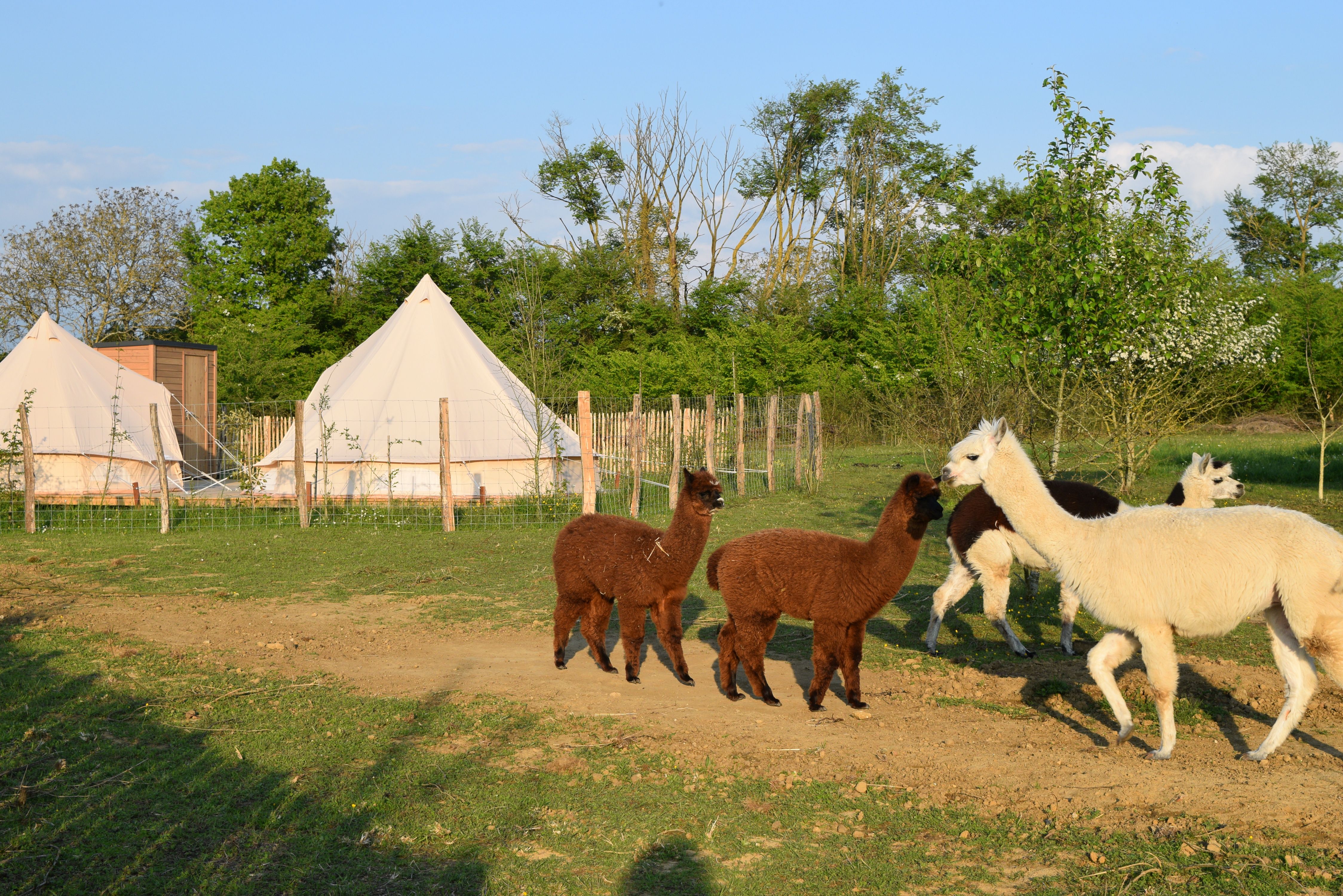 Tente Inca — Séjour nature avec spa à Maine-et-Loire