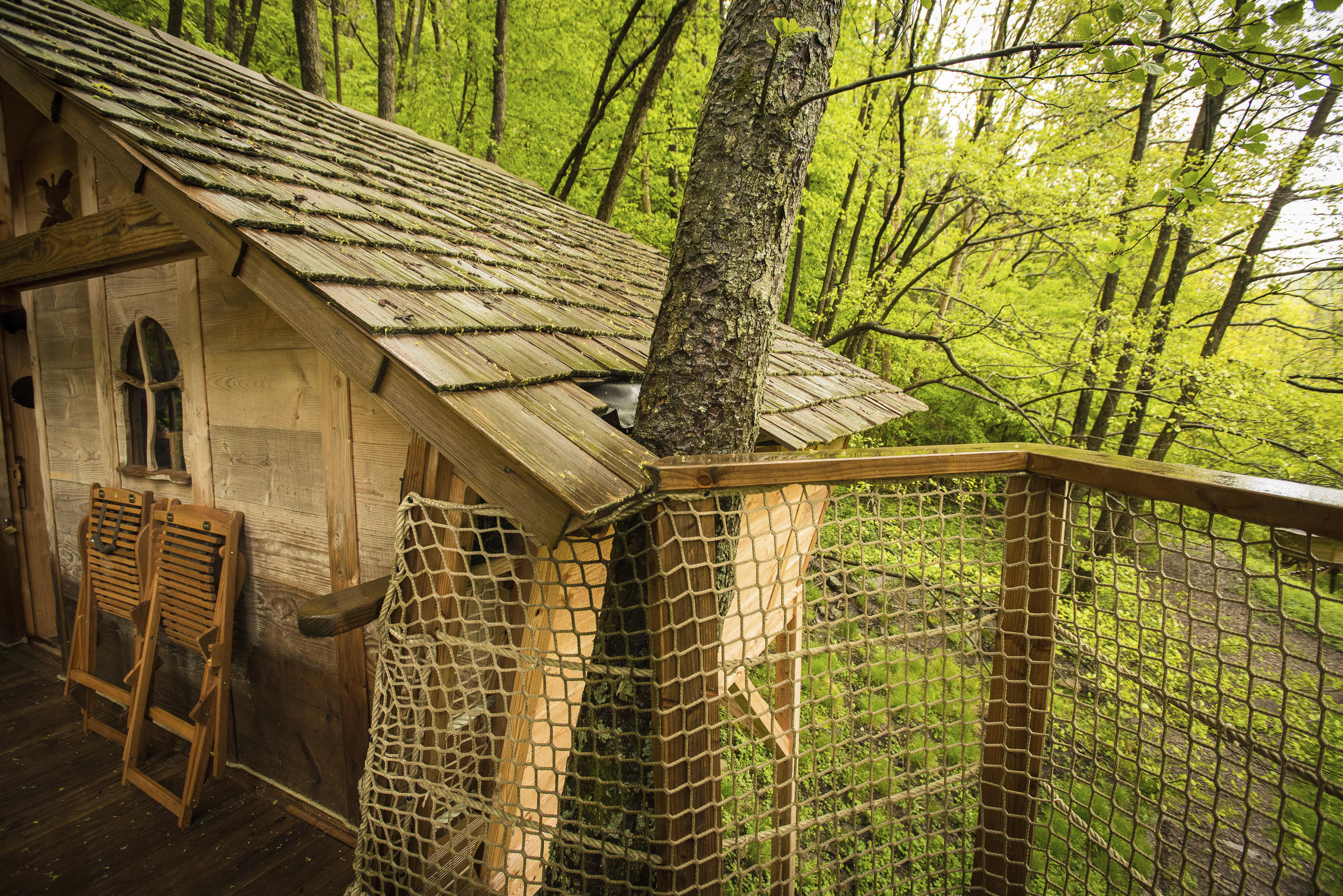 Cabane l'Appel de la Forêt : une expérience unique en Alsace à Grandfontaine — chambre