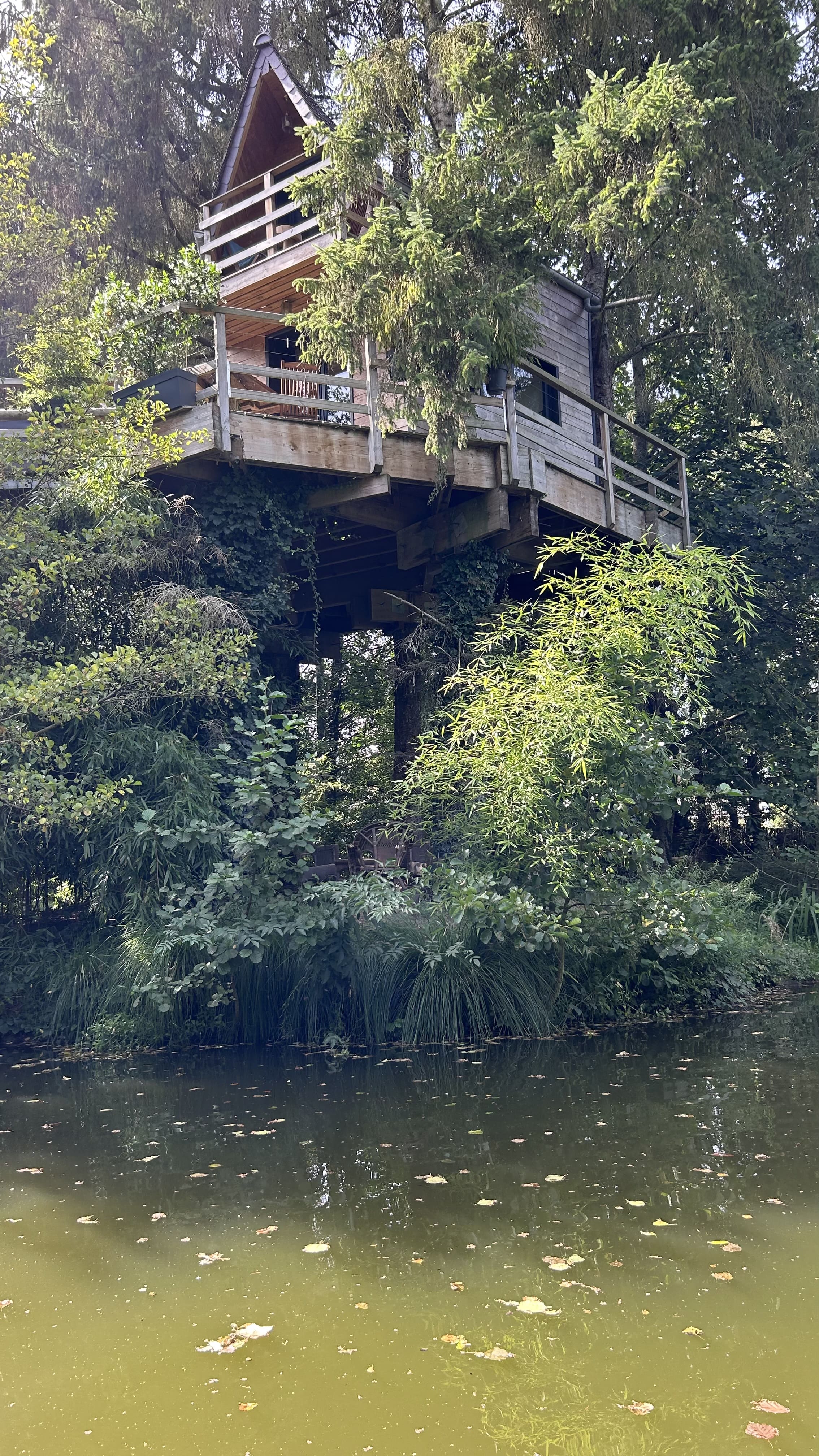 Cabane Spa Koad'dour — Nuit perchée à 6m en Ille-et-Vilaine à Rennes — espace de vie