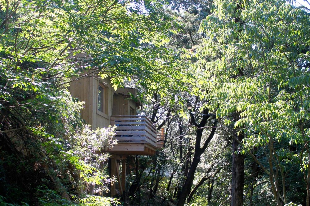 Cabane Fresnes : une expérience suspendue dans les arbres à Villalier — vue intérieure