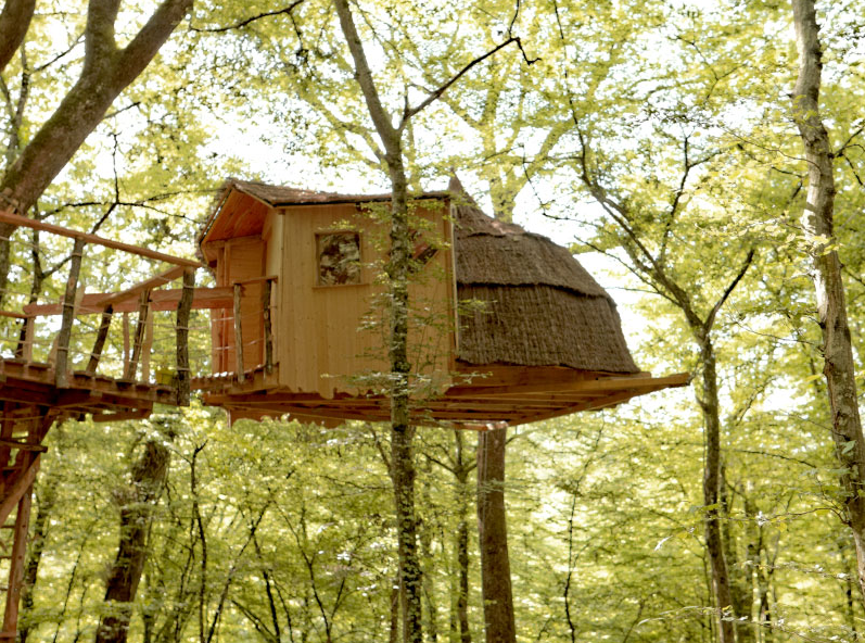 Cabane Eole : une expérience suspendue dans les arbres à Ranchot — vue depuis la terrasse