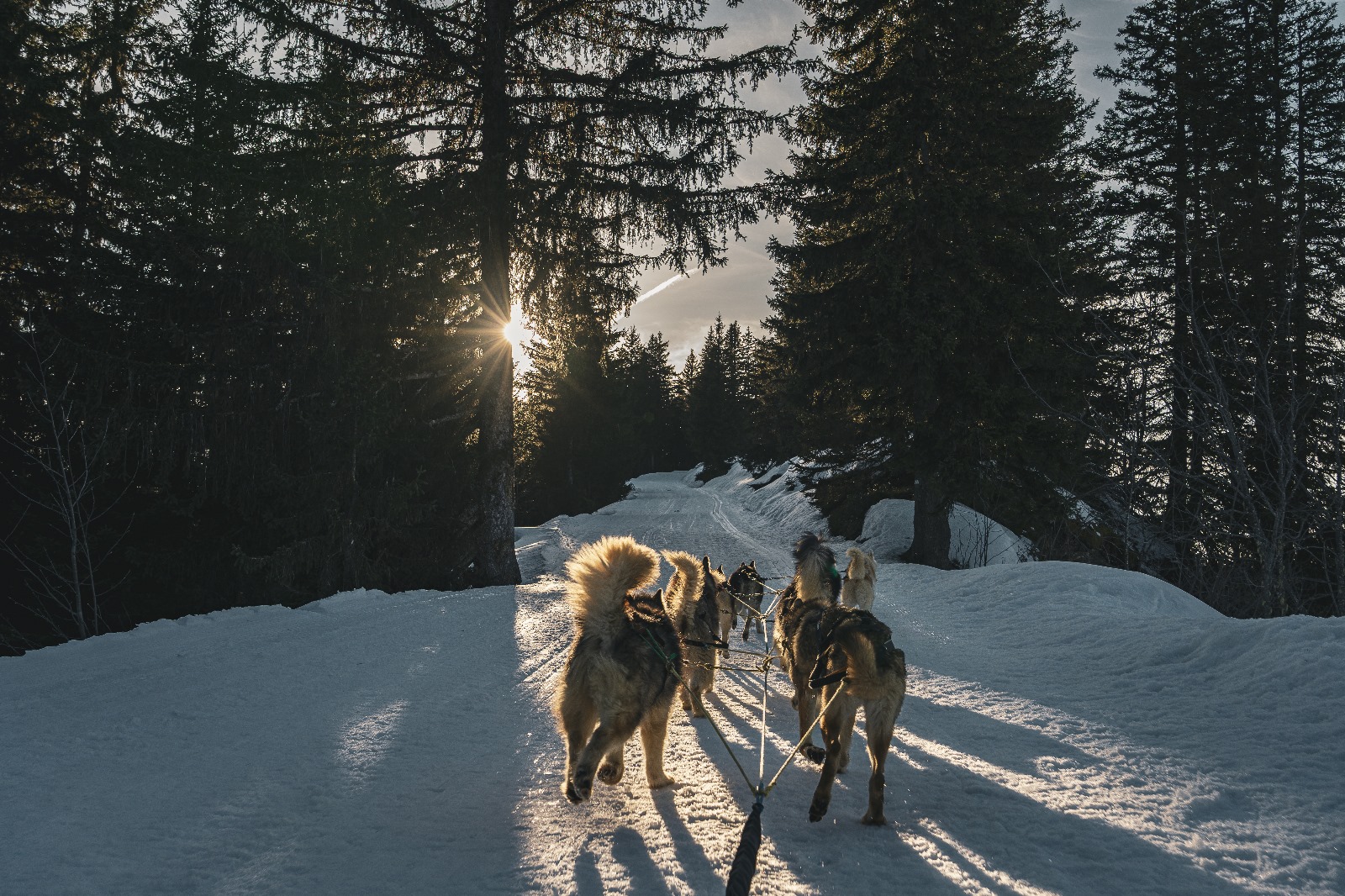 Chalet Trappeur & SPA — Escapade cocooning en Haute-Savoie à Amancy — vue intérieure