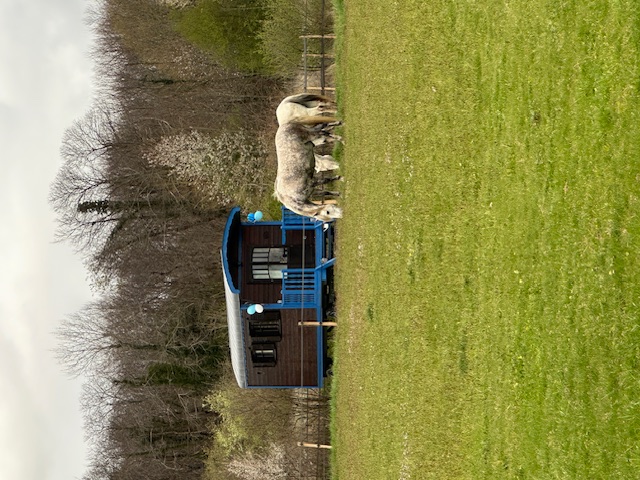 Roulotte Bluebell — Escapade bohème avec spa à Charente-Maritime à La Rochelle — environnement naturel