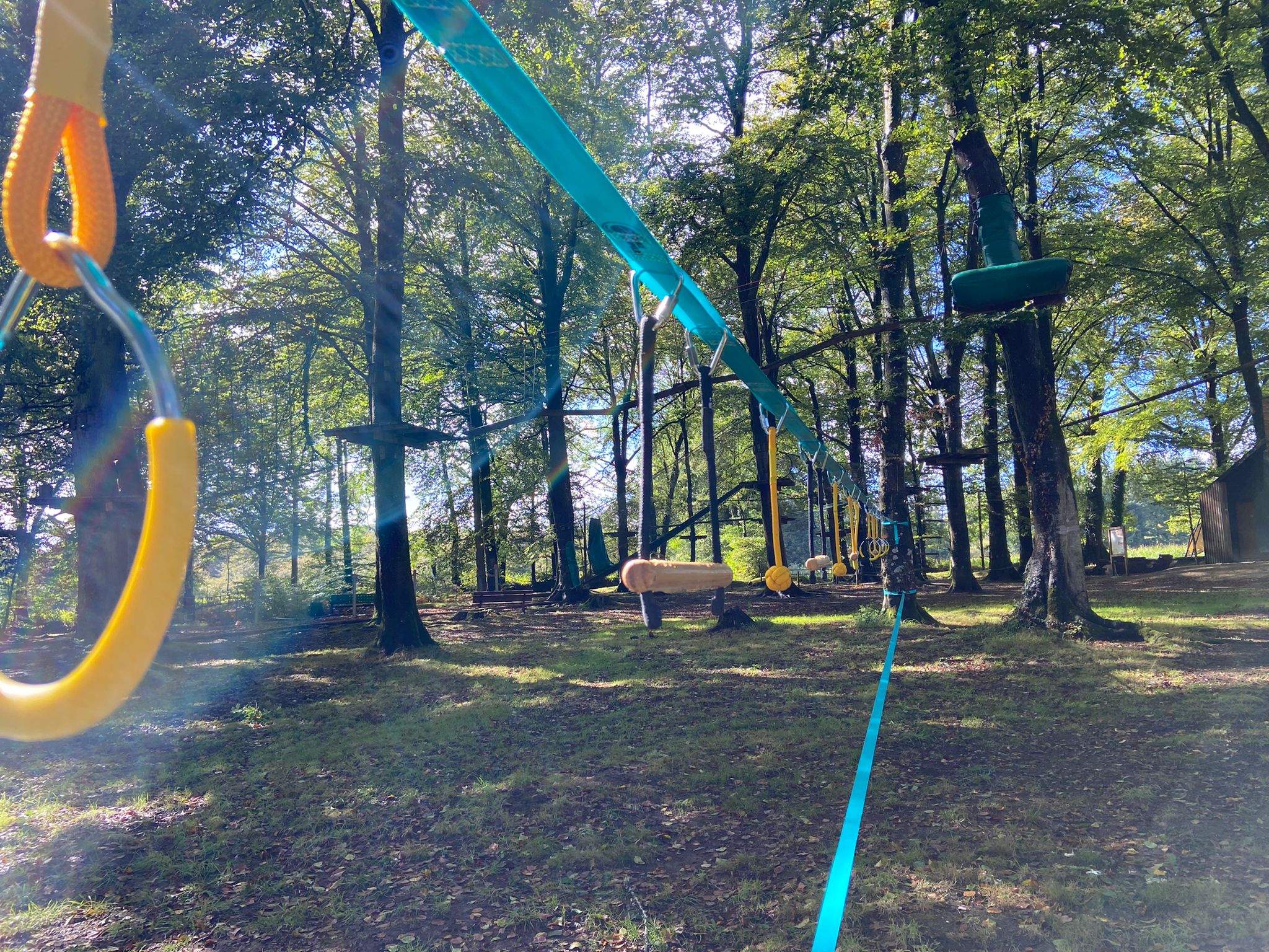 Chalet-Lodge premium & Spa : une évasion en pleine nature à Saint-Sever-Calvados — environnement naturel