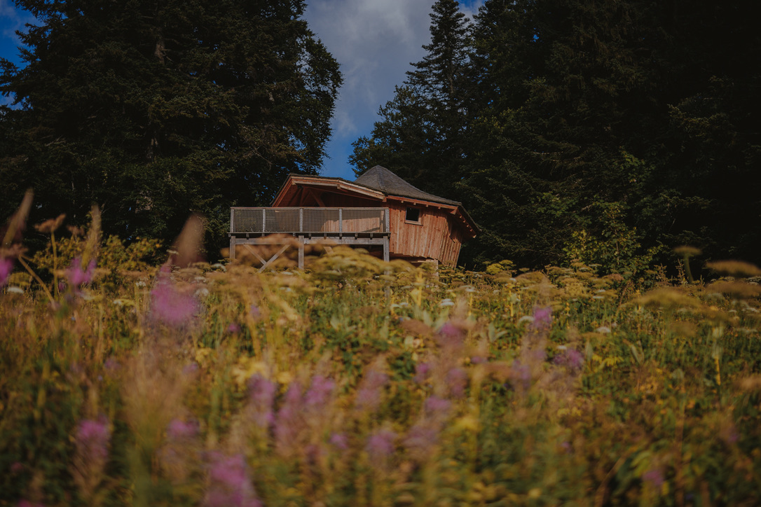 Cabane La Trafolle : une expérience suspendue dans les arbres