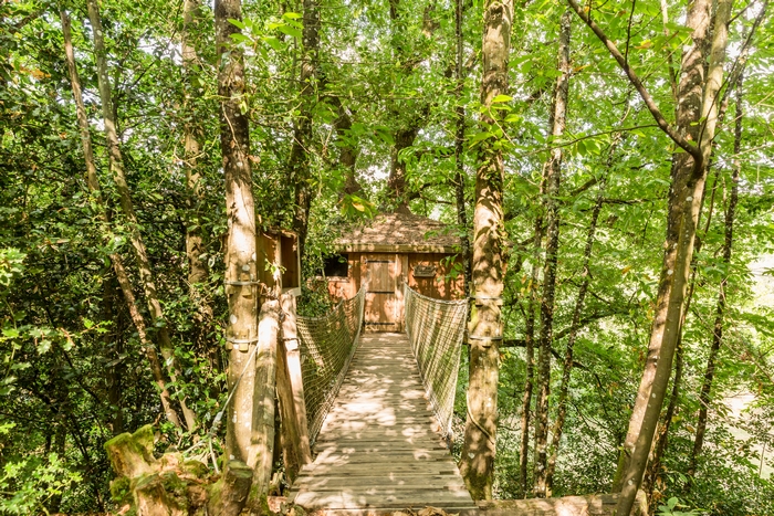 Cabane Pivert — Nuit perchée à 8m dans les arbres en Mayenne à L'Orbière — vue intérieure