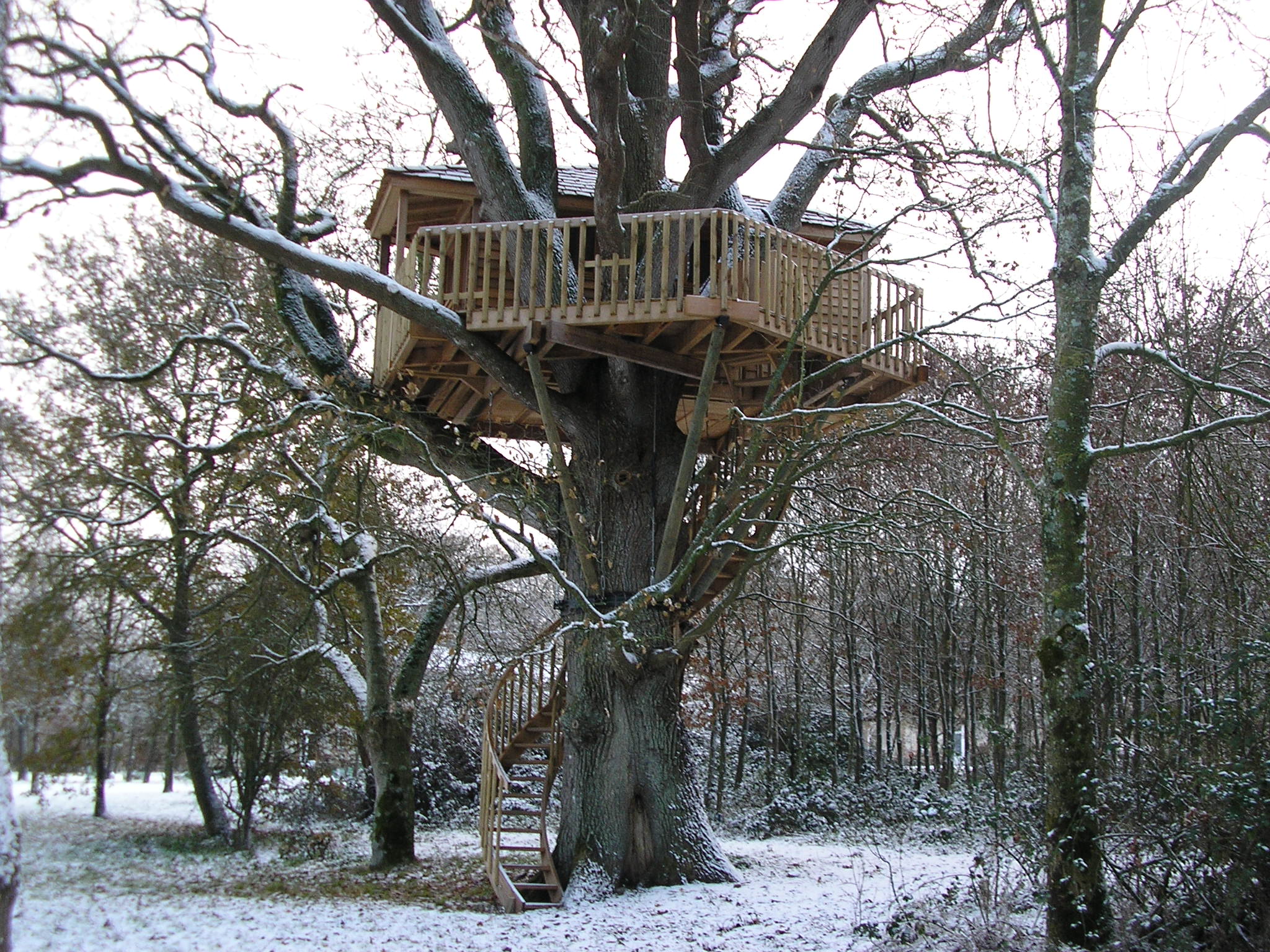 Bruit d'O — Cabane dans les arbres à 8m de hauteur en Maine-et-Loire à Sèvremoine — environnement naturel