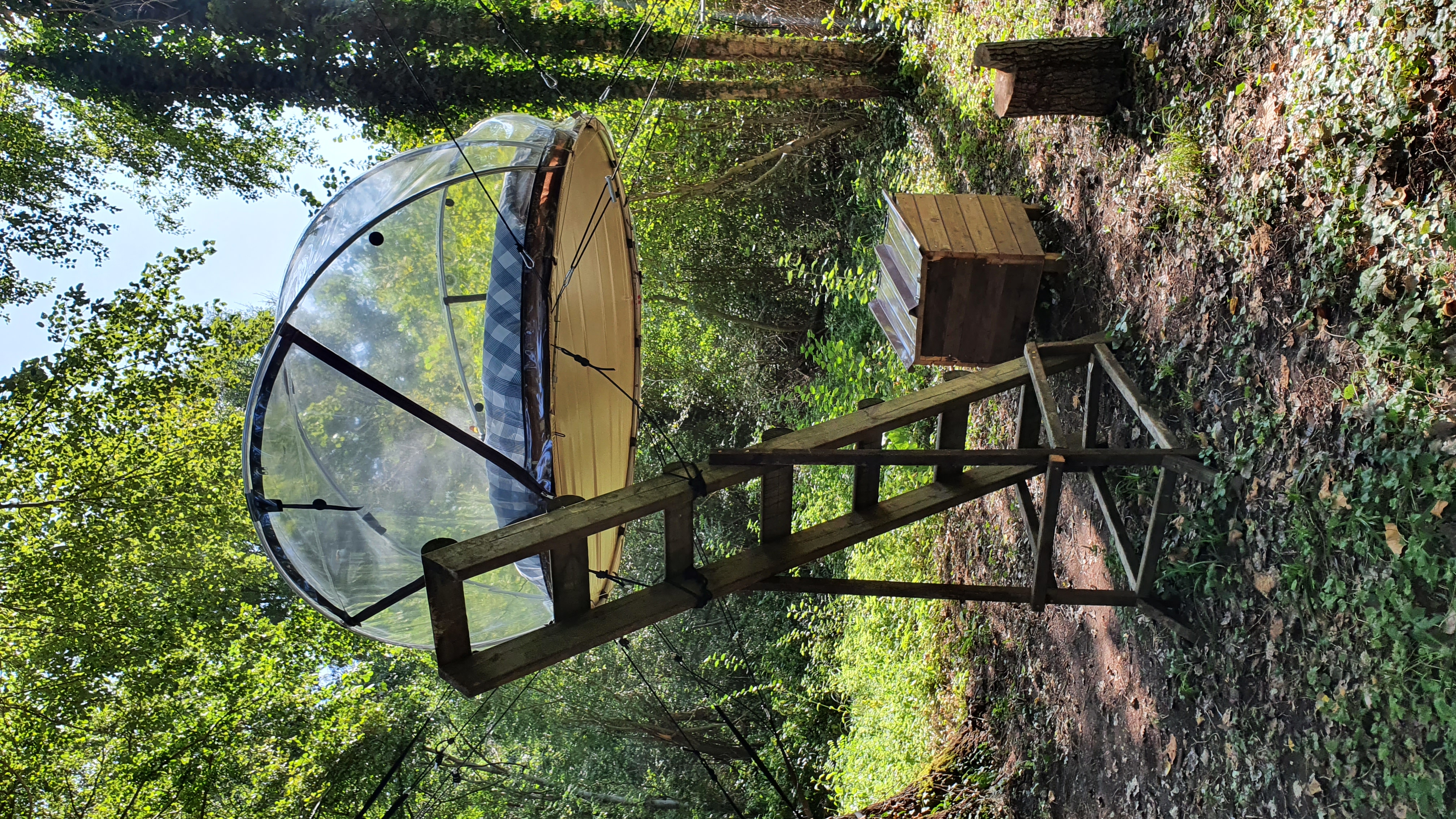 Bulle Sauvage — Nuit perchée à 2m dans les arbres en Seine-et-Marne à Noisy-Sur-École — espace de vie