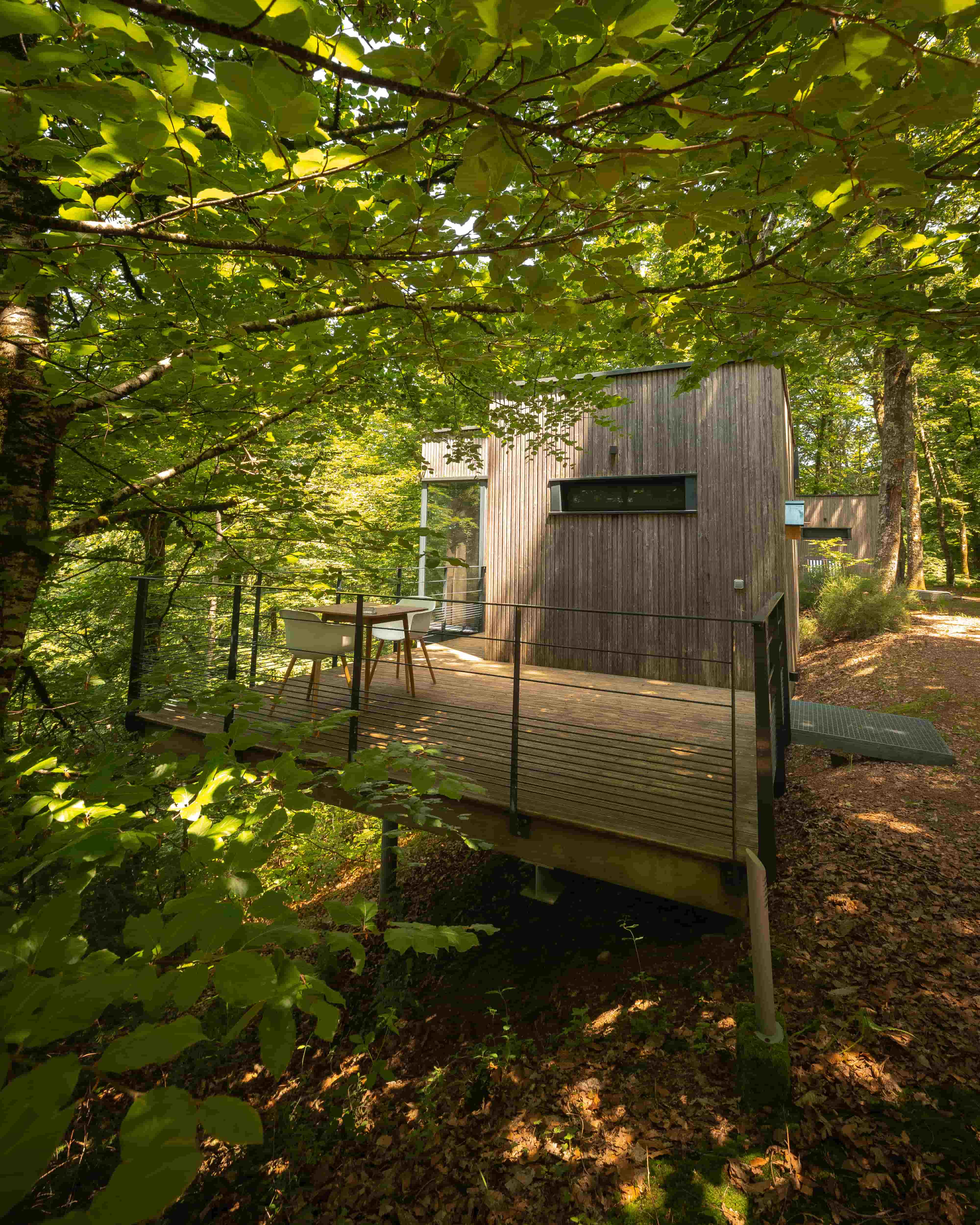 Cabane Chêne : une immersion dans les arbres en Limousin — Cabane à Meyrignac L’Eglise