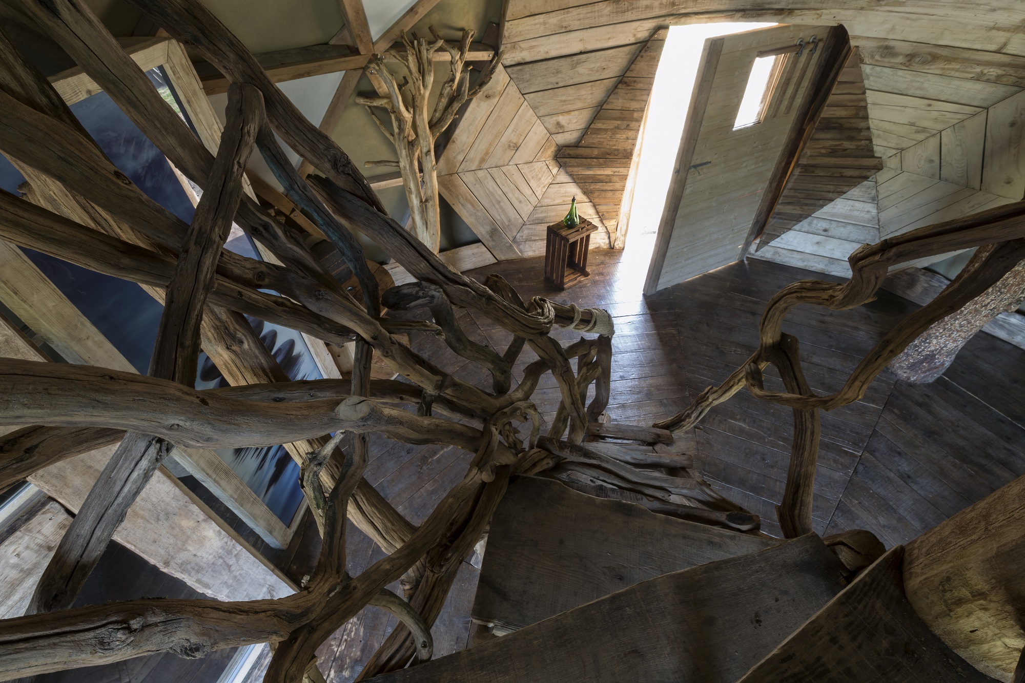 Dôme en Lorraine : une expérience immersive au cœur de la nature à Vittel — détail architectural