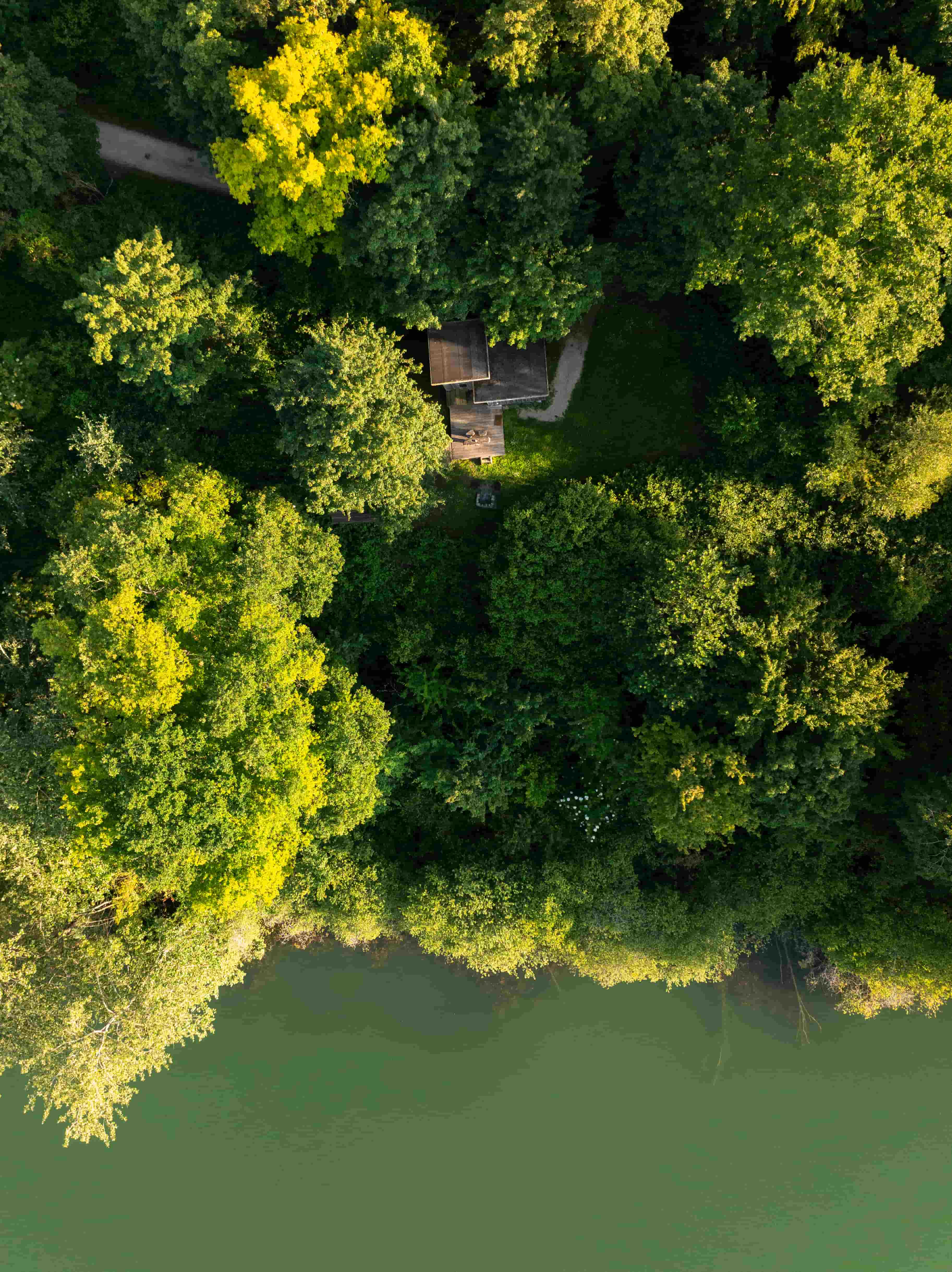 Cabane Spa Ambre — Séjour romantique avec spa à Oise à Beauvais — vue intérieure