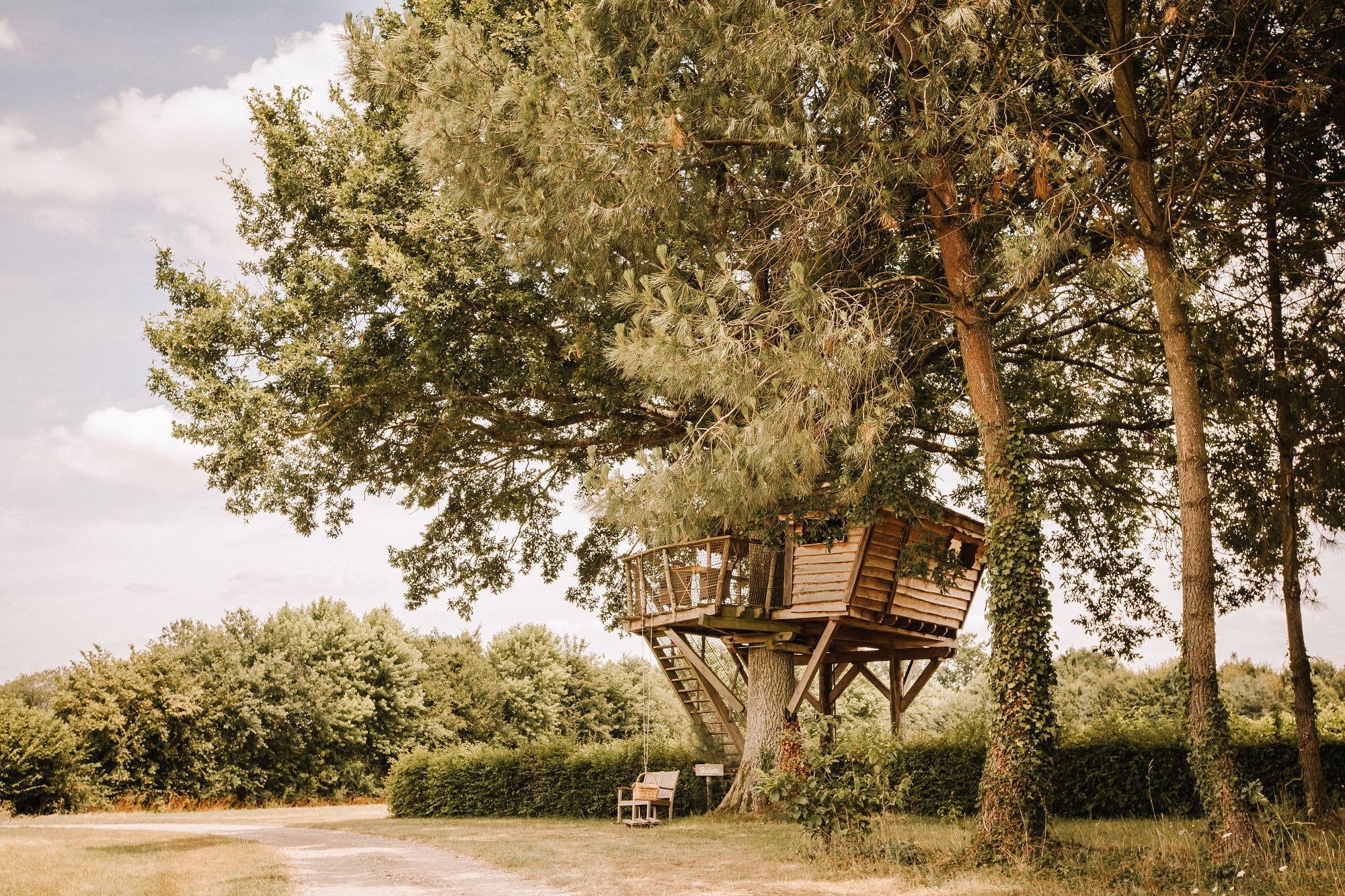 Cabane Hulotte : une escapade enchantée dans les arbres à Pommerieux — vue intérieure