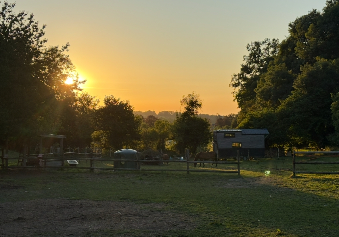 La Tiny de Mary — Tiny House avec spa à Gonneville-sur-Mer à Gonneville-sur-Mer — vue depuis la terrasse