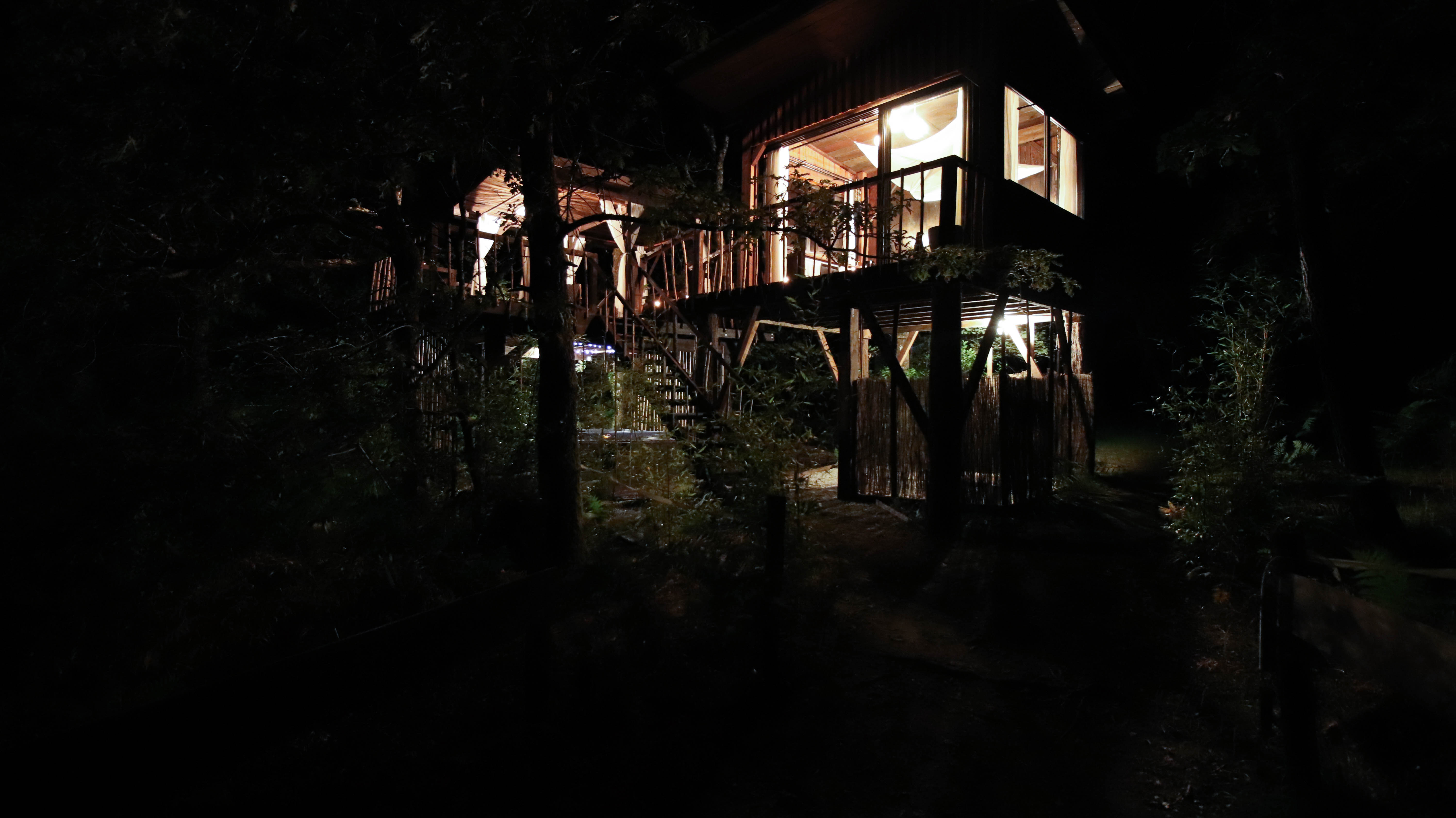 Cabane Réminiscence et Spa : une évasion dans les arbres à Origne — vue intérieure