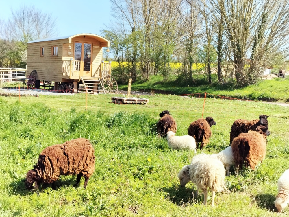 La Roulotte de Jane — Séjour insolite avec spa au cœur du Perche à Chartres — espace de vie